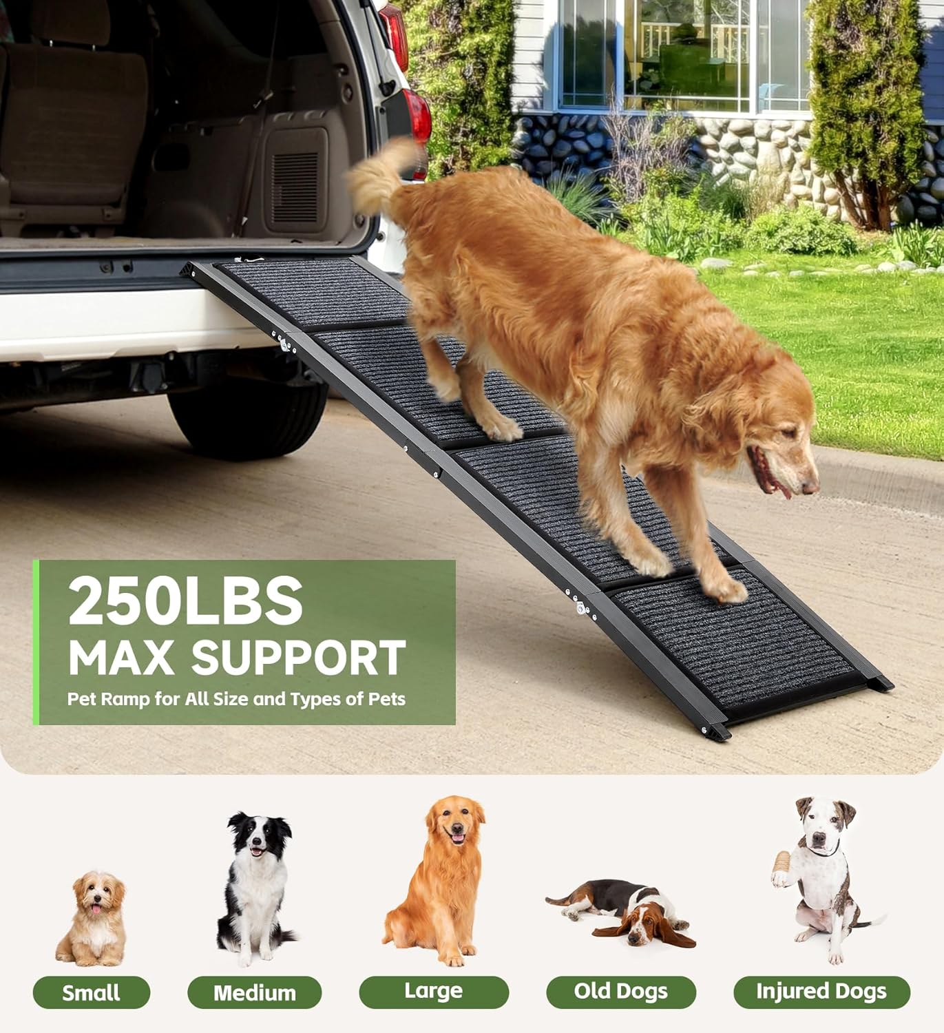 Dog using a pet ramp with text indicating weight support and features.