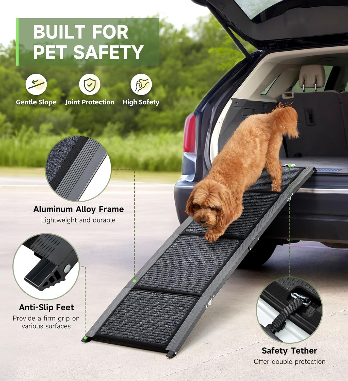Dog using a pet ramp with features highlighted on a car's open trunk.
