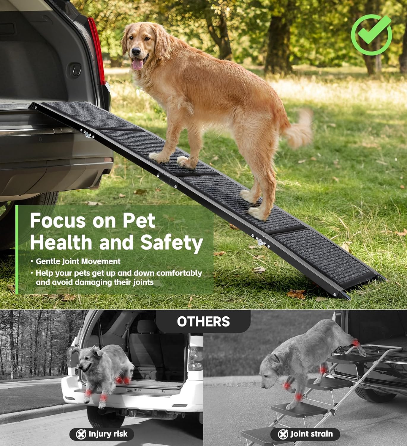 Dog using a ramp to enter a vehicle with text about pet health and safety.
