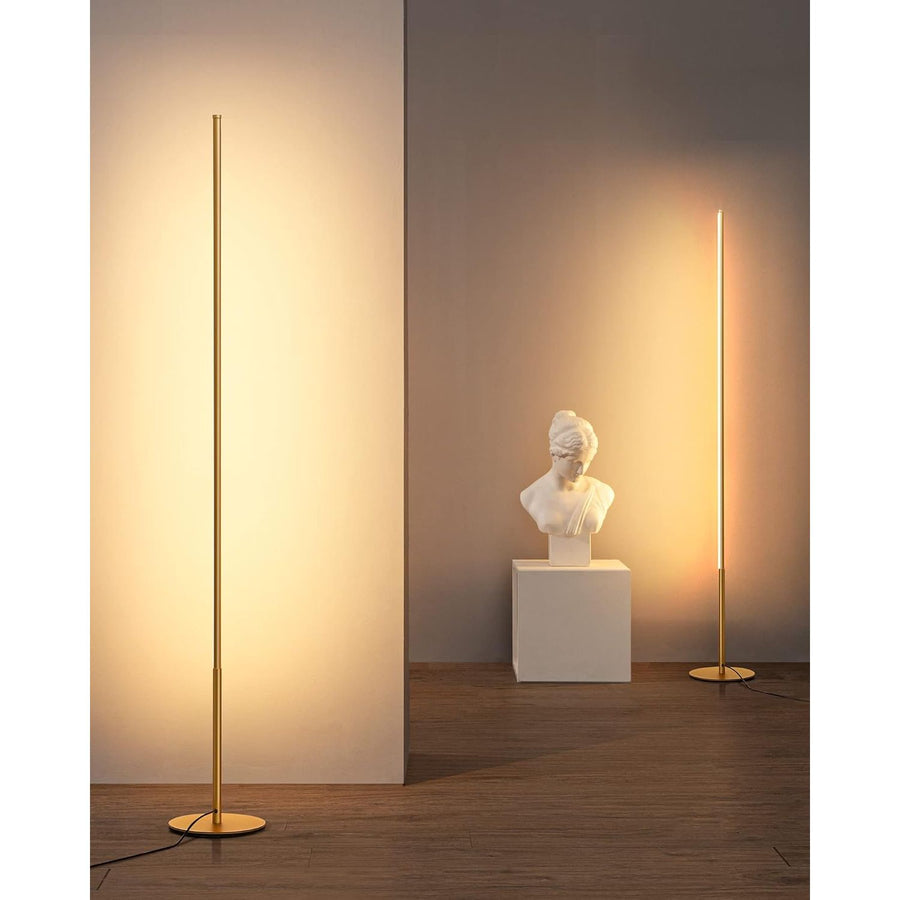 EDISHINE Modern LED Floor Lamp 2 Pack 3000K, 57.5'' Dimmable (Gold)