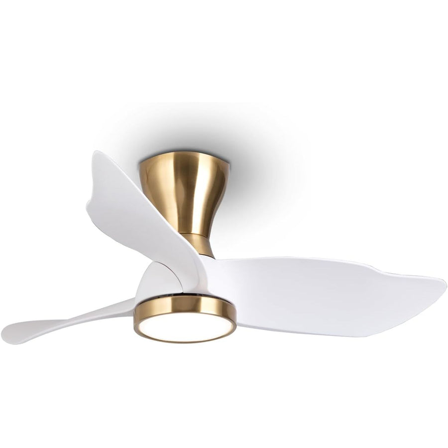 Reiga 91cm Flush Mount DC Ceiling Fan with Dimmable Light & Remote, Modern Style - Massive Discounts