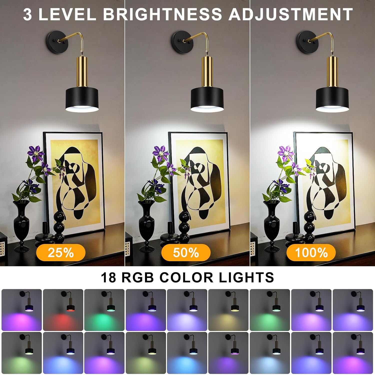 Lightsjoy 2 Pack Rechargeable RGB Wall Lights with Remote, Dimmable