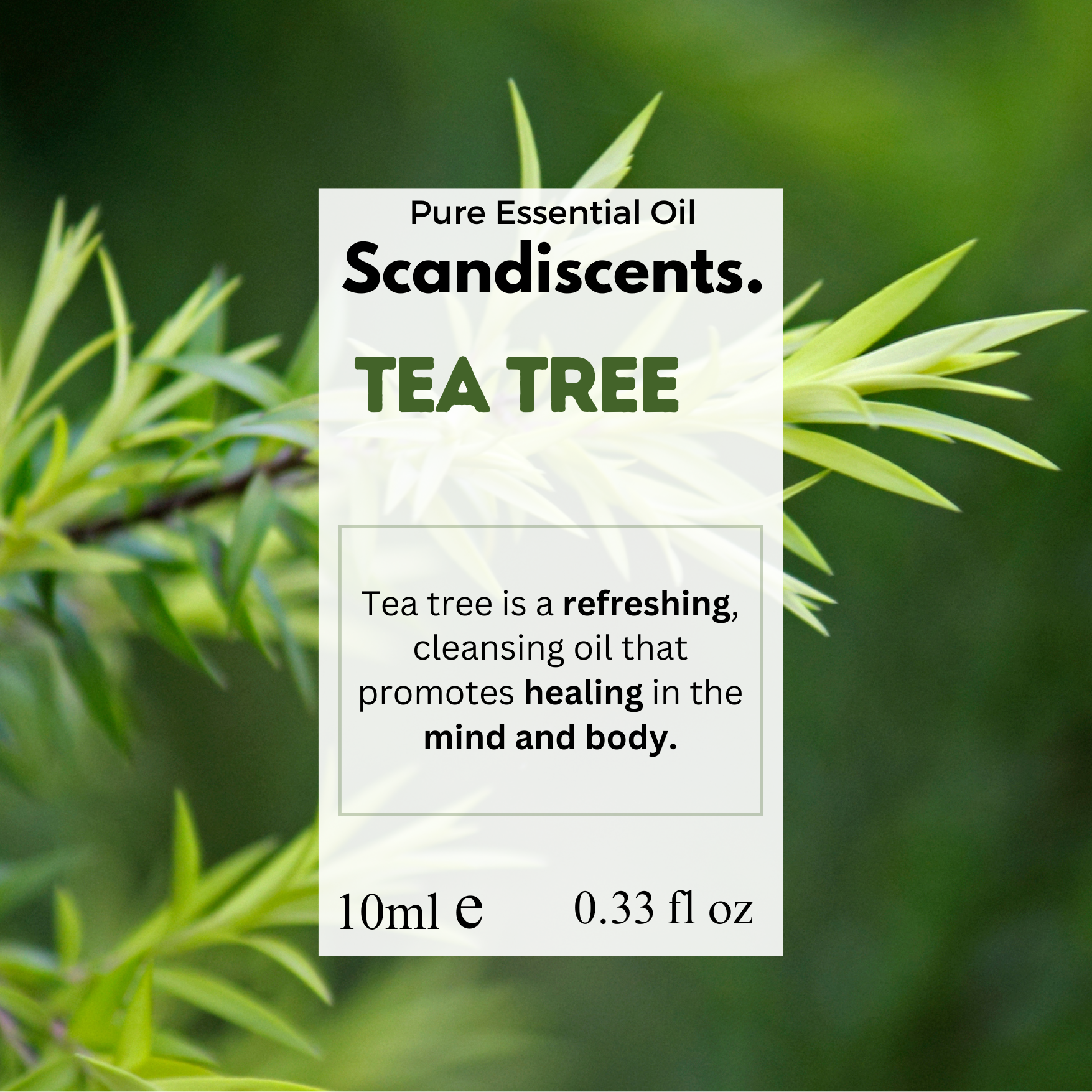 Label for Scandiscents Tea Tree essential oil with tea tree leaves in the background