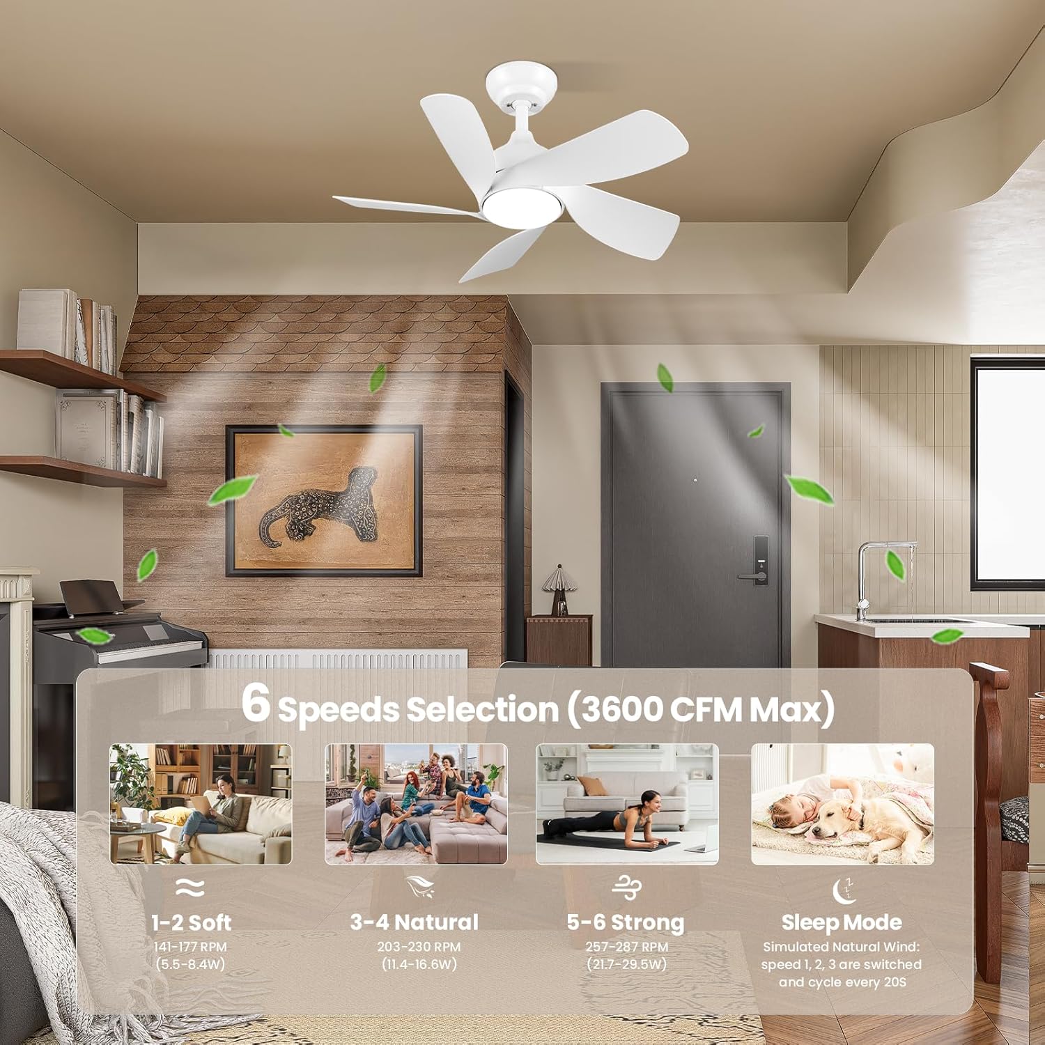 CJOY 30" White Ceiling Fan with Light, Quiet DC Motor, 5 Blades, 6 Speeds, White