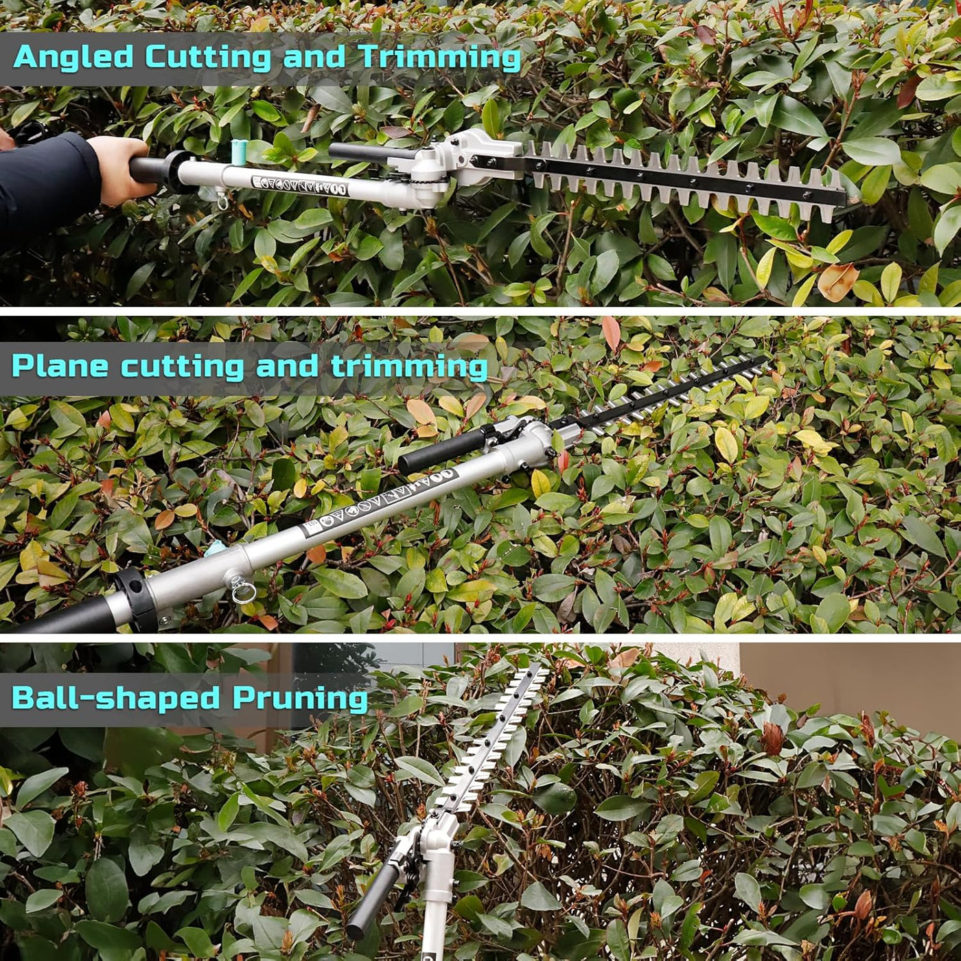 Hedge trimmer being used on a hedge with text labels for different cutting techniques.