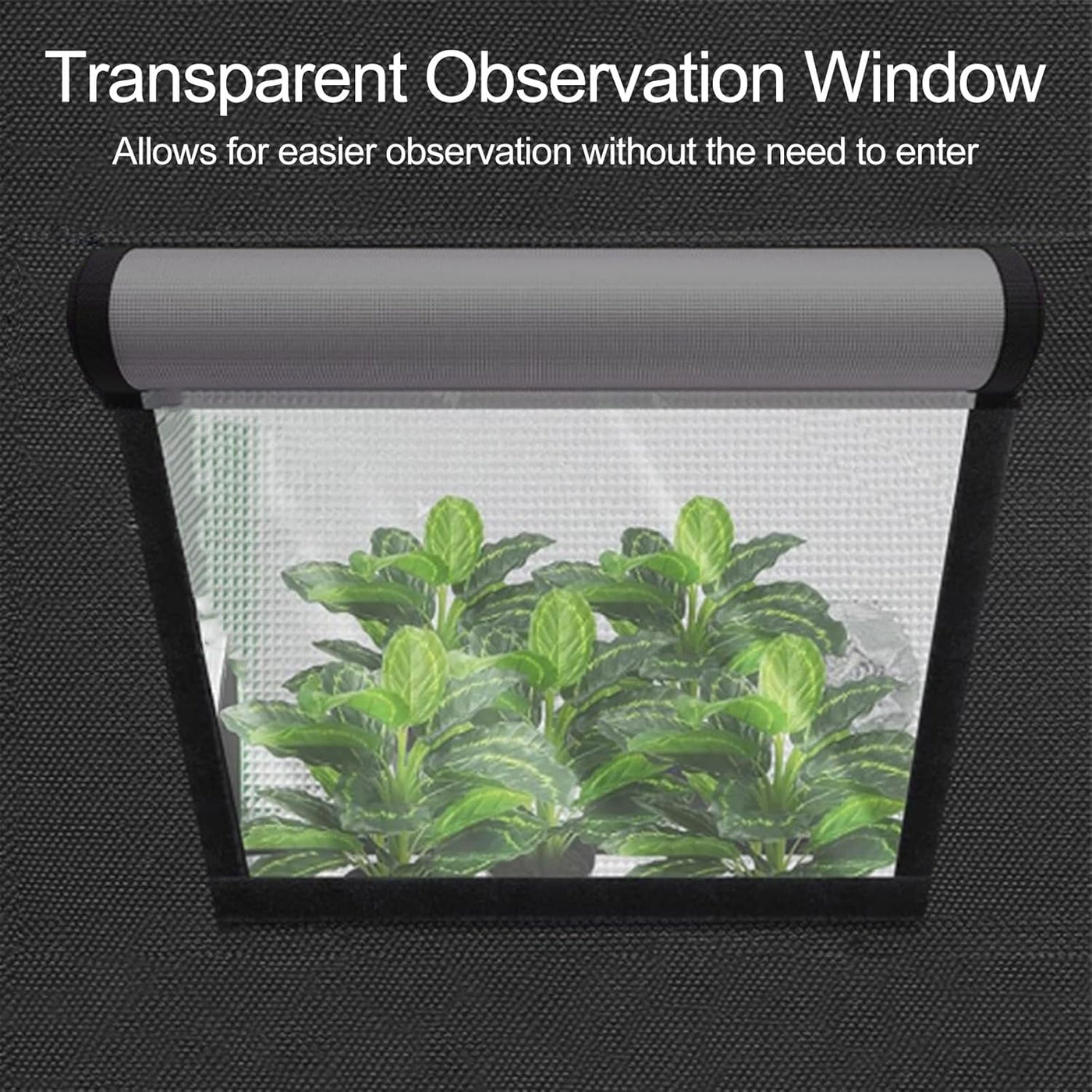Transparent observation window with plants inside on a dark background