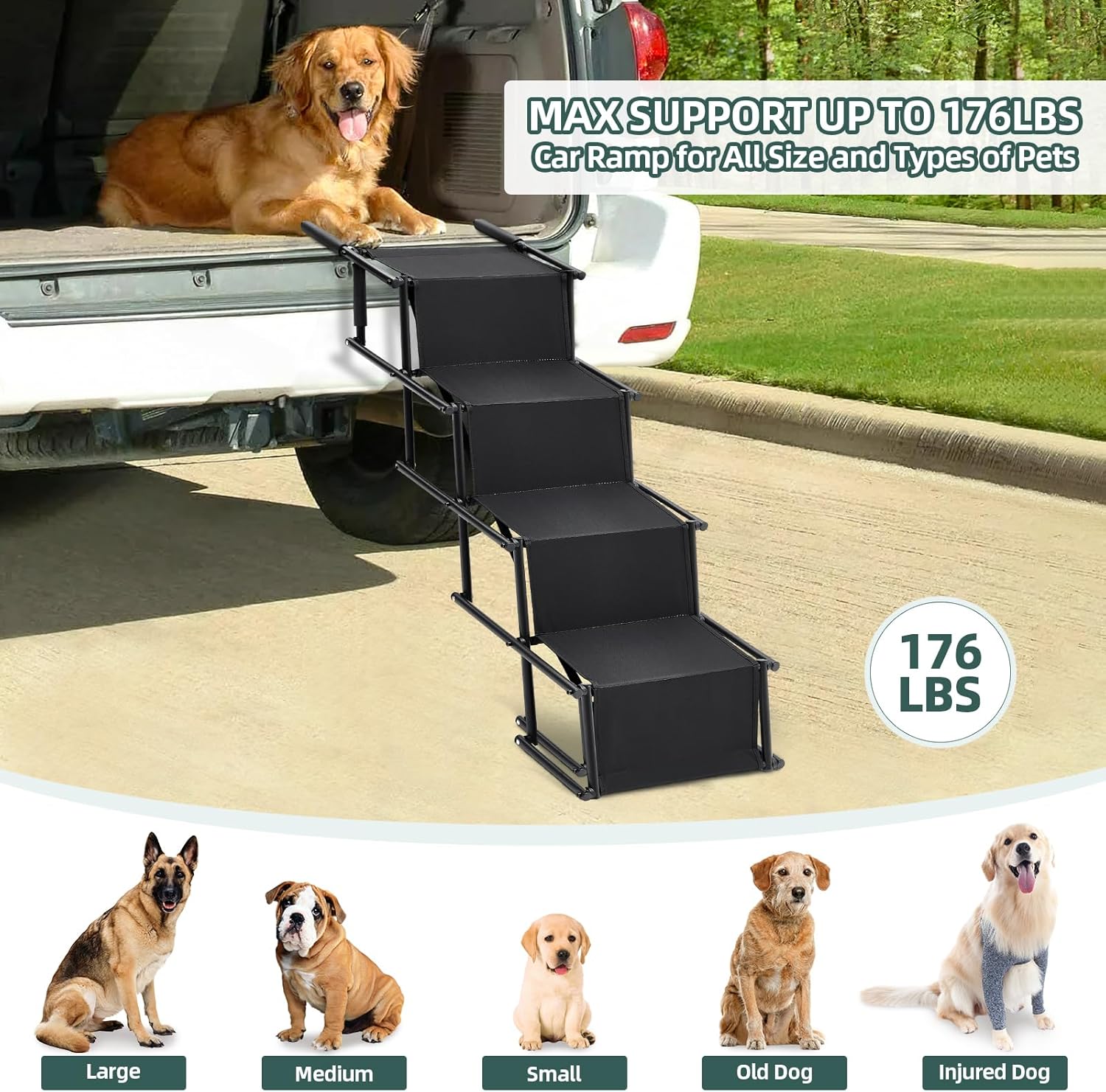 Fellie Foldable Dog Ramp, 2-Height Adjustable, Non-Slip, 176LBS Max