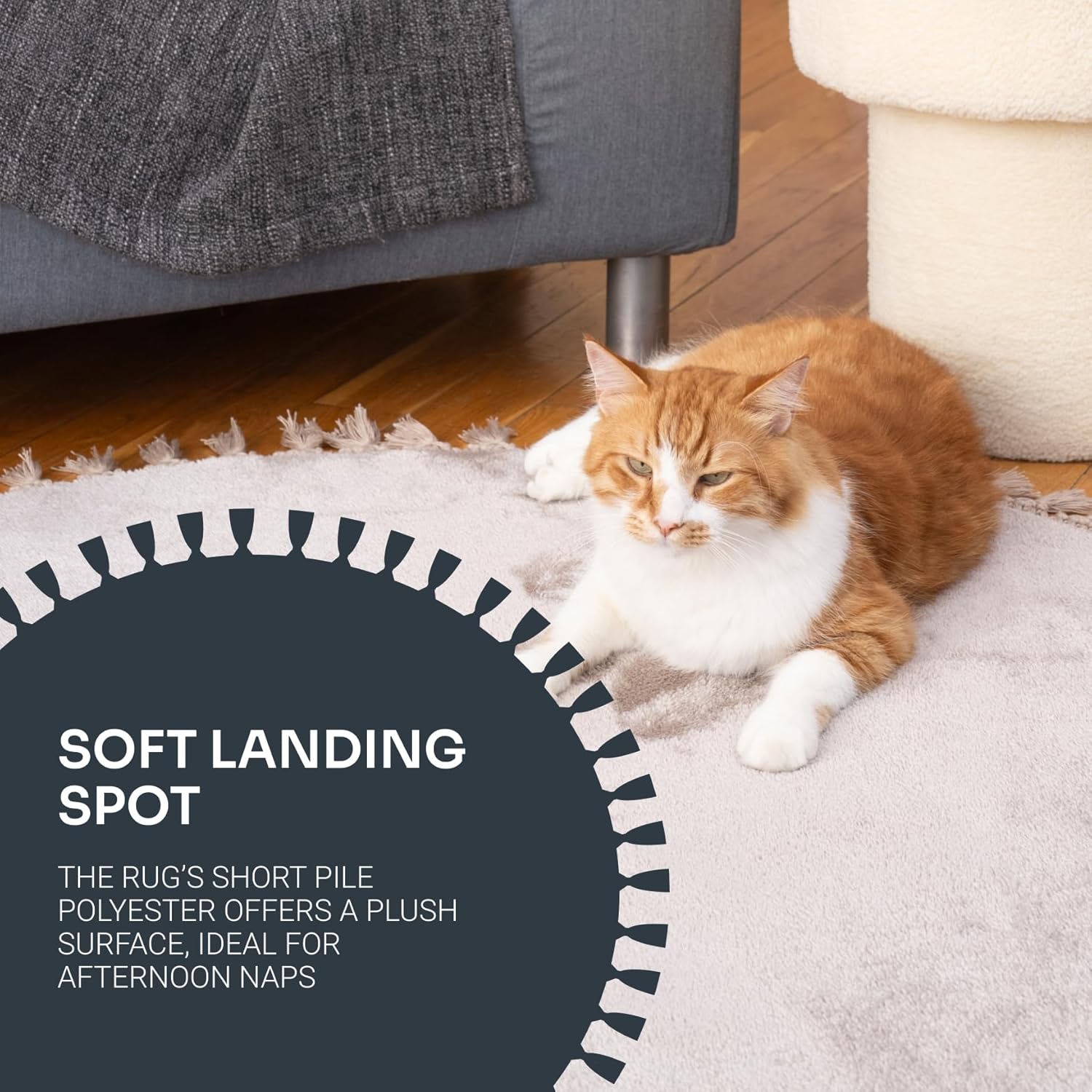 Cat lying on a soft rug with text about the rug's features