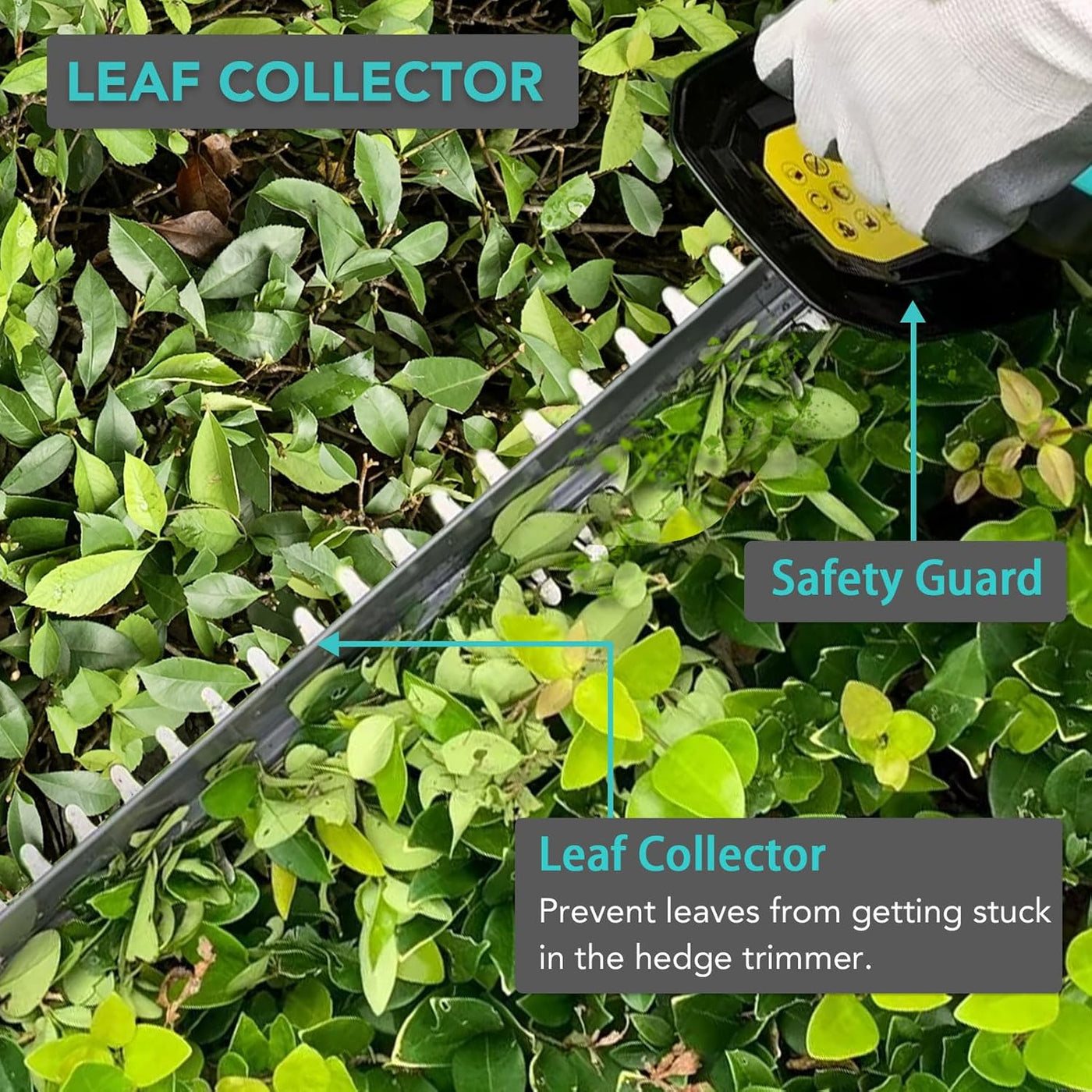 Hedge trimmer with leaf collector attachment being used on a hedge, highlighting safety guard and leaf collector features.
