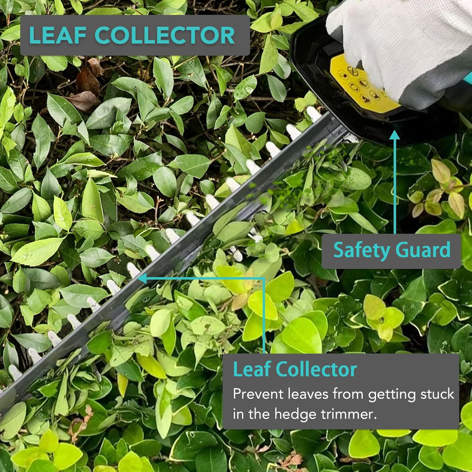 Hedge trimmer with leaf collector attachment being used on a hedge, highlighting safety guard and leaf collector features.