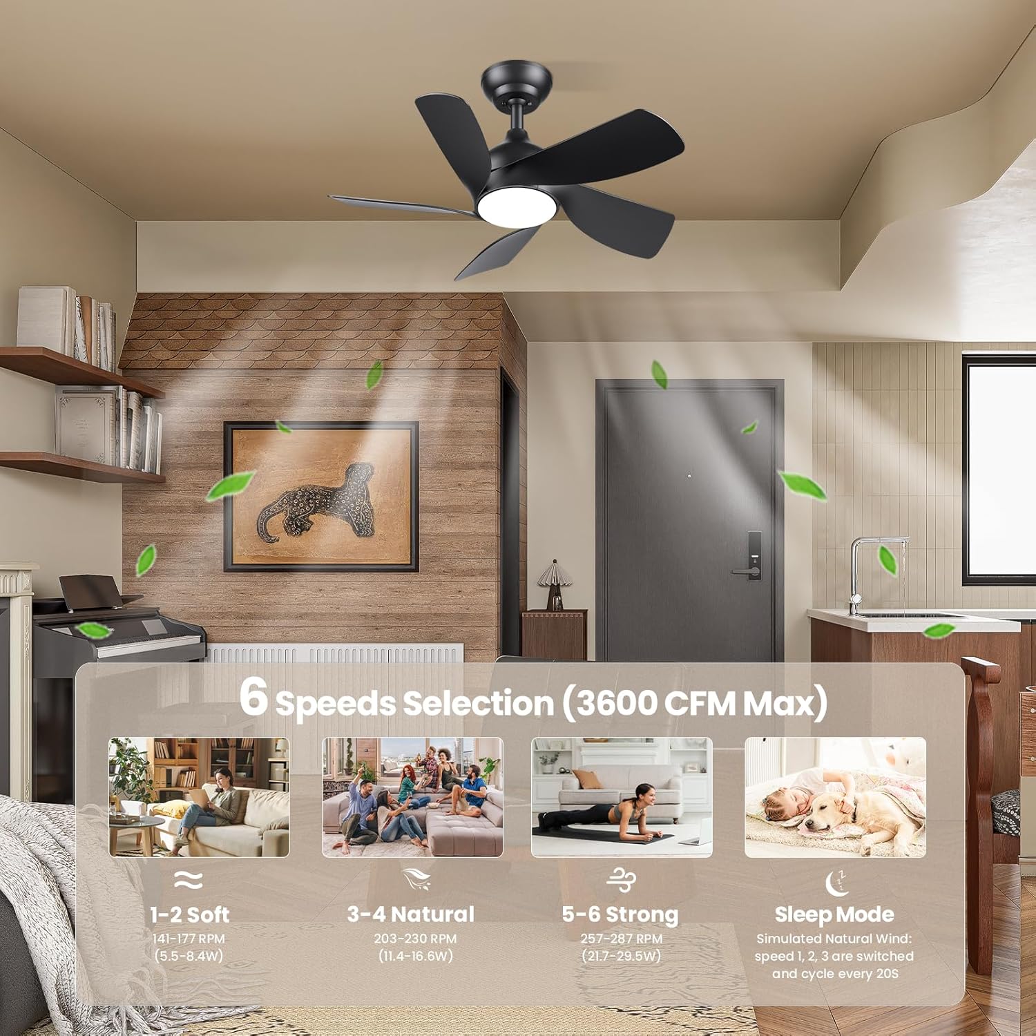 CJOY 30" White Ceiling Fan with Light, Quiet DC Motor, 5 Blades, 6 Speeds, Black