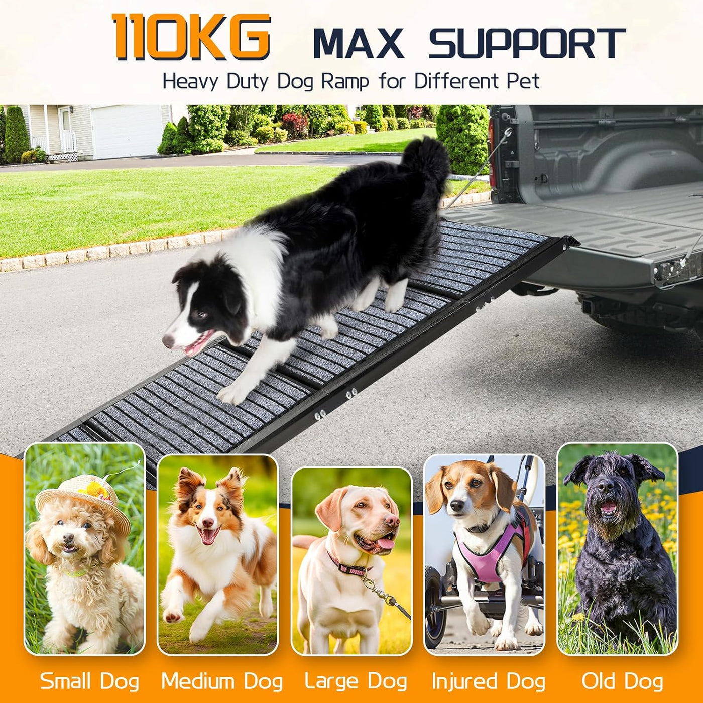 Extra Long 170CM Folding Dog Car Ramp, Non-Slip Steps for Large Dogs up to 115KG