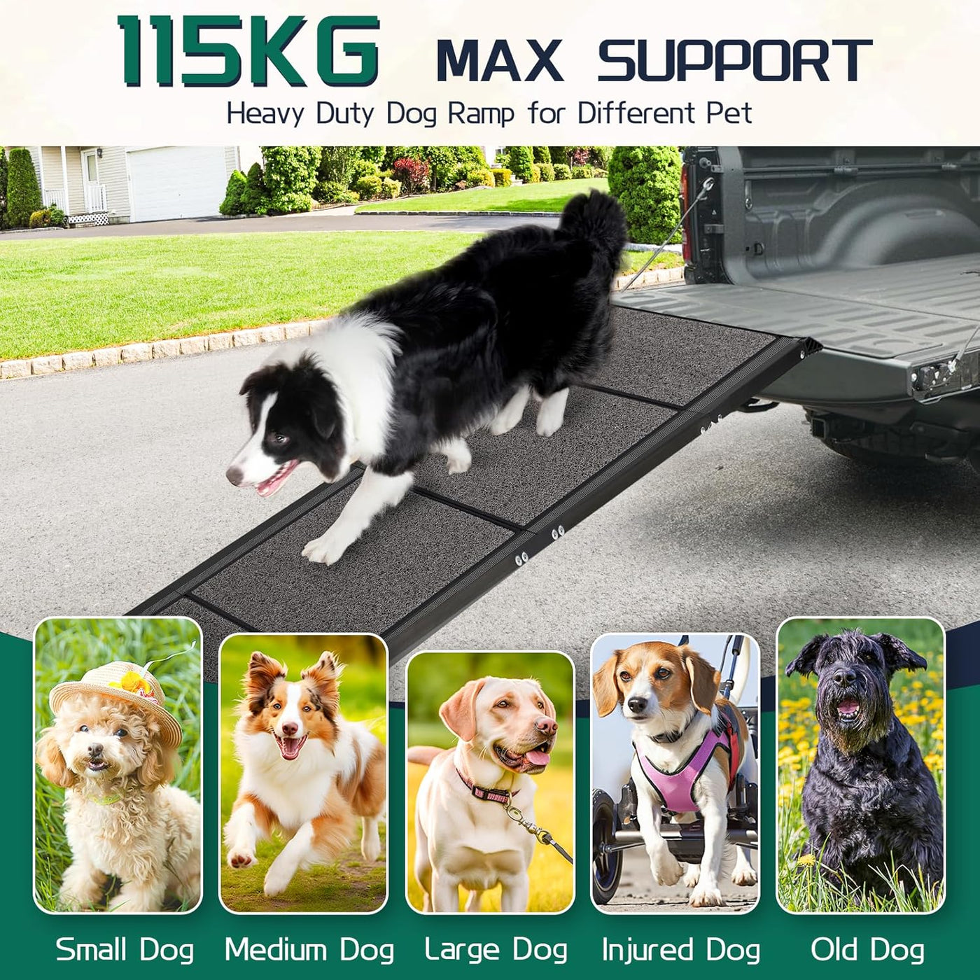 CJYMMFAN 170CM Folding Dog Car Ramp Non-Slip Pet Steps, Large Dogs up to 115KG