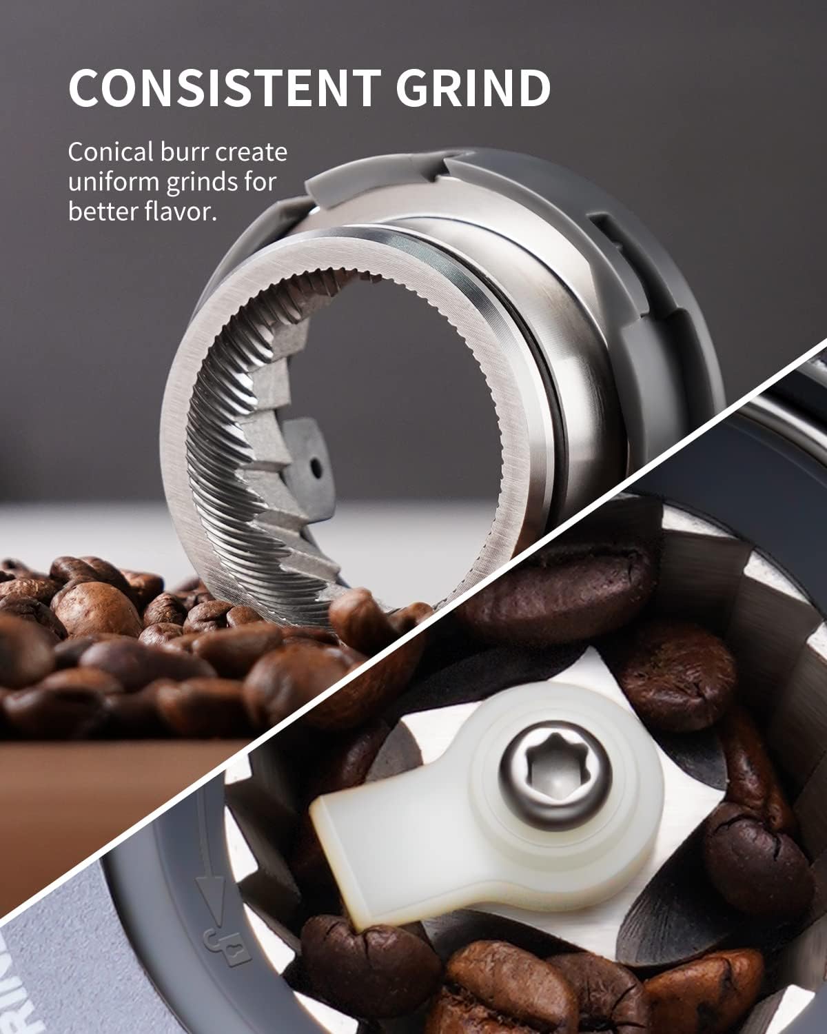 Coffee grinder with conical burr and coffee beans, highlighting consistent grind feature.