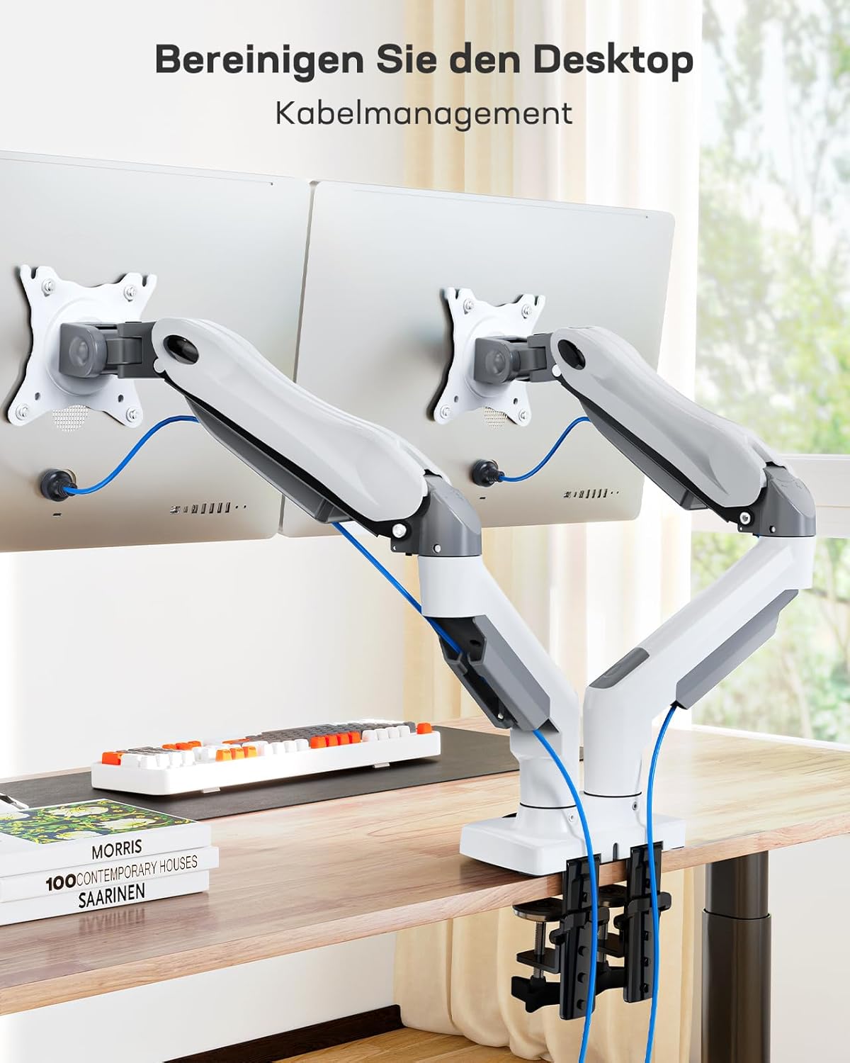 HUANUO Dual Monitor Arm - Desk Mount for 13-32'' Screens, VESA 75 & 100 mm