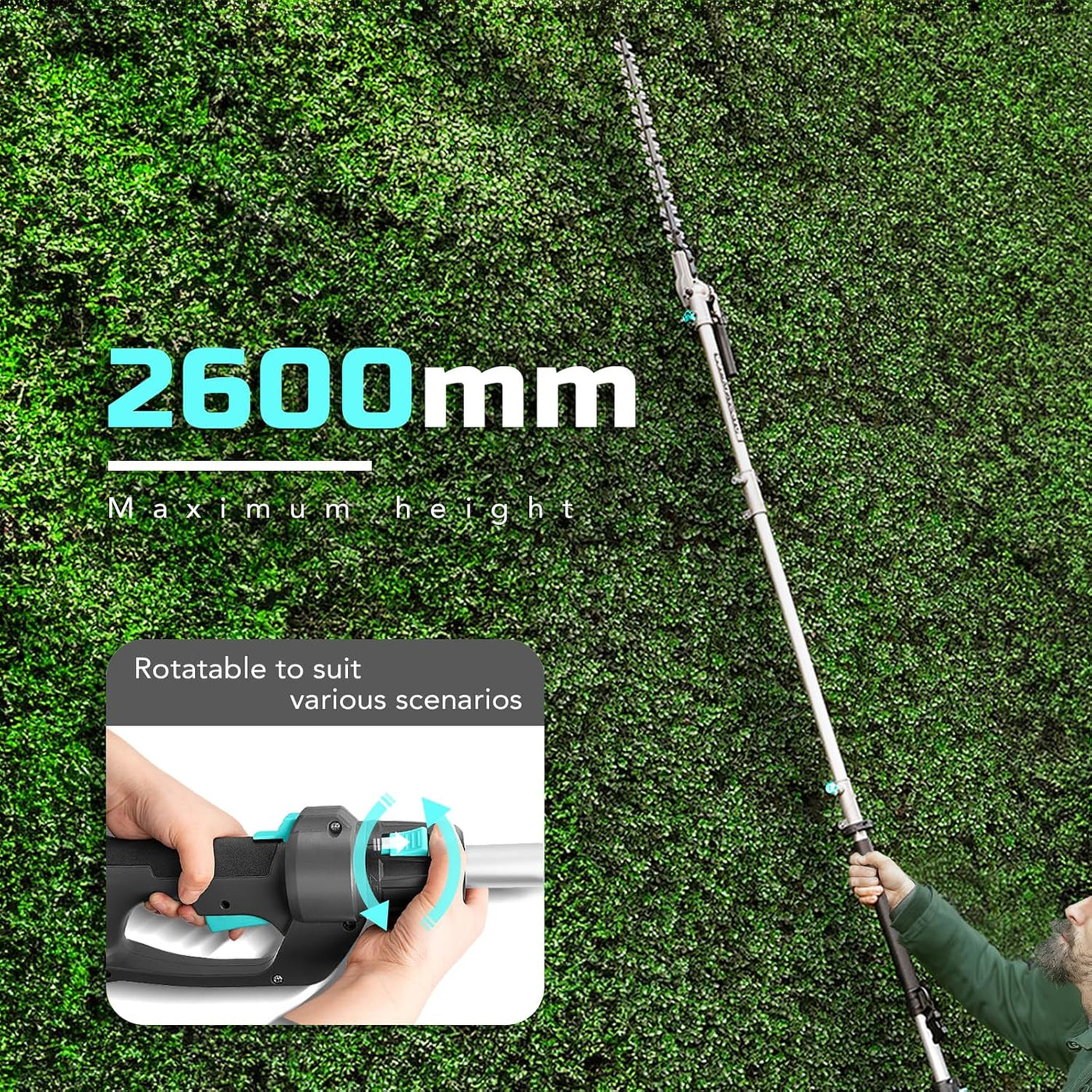 Gardening tool with extendable pole against a green hedge, showing maximum height of 2600mm.