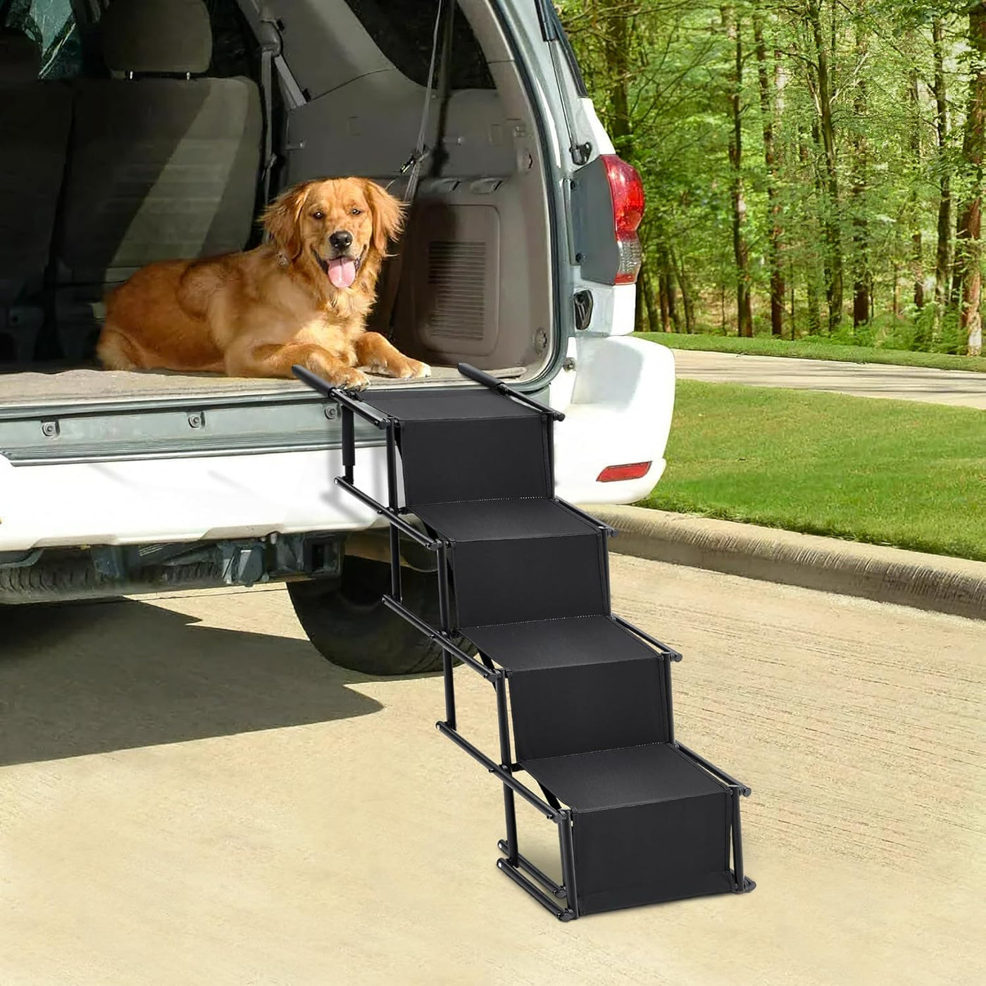 Fellie Foldable Dog Ramp, 2-Height Adjustable, Non-Slip, 176LBS Max