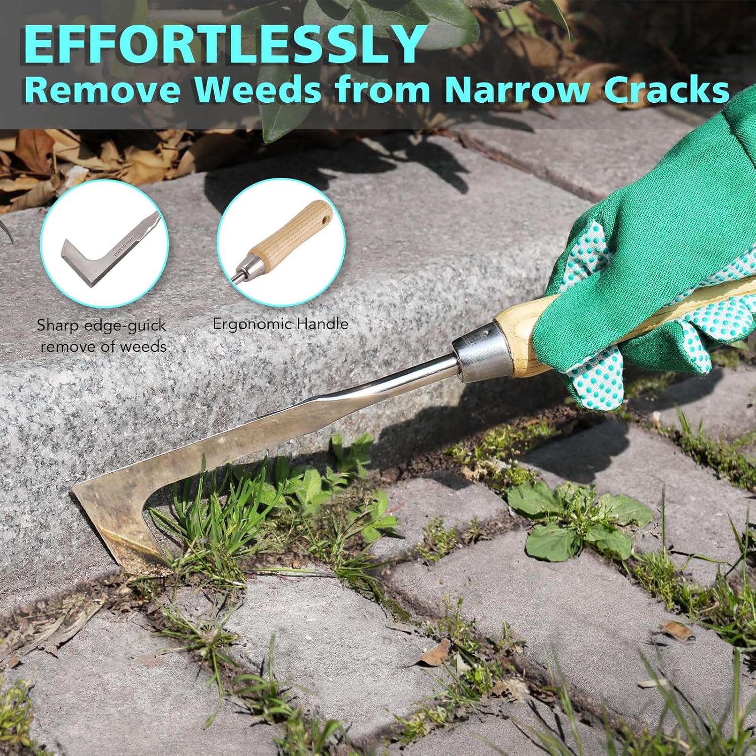 Gardening tool being used to remove weeds from narrow cracks with text highlighting features.
