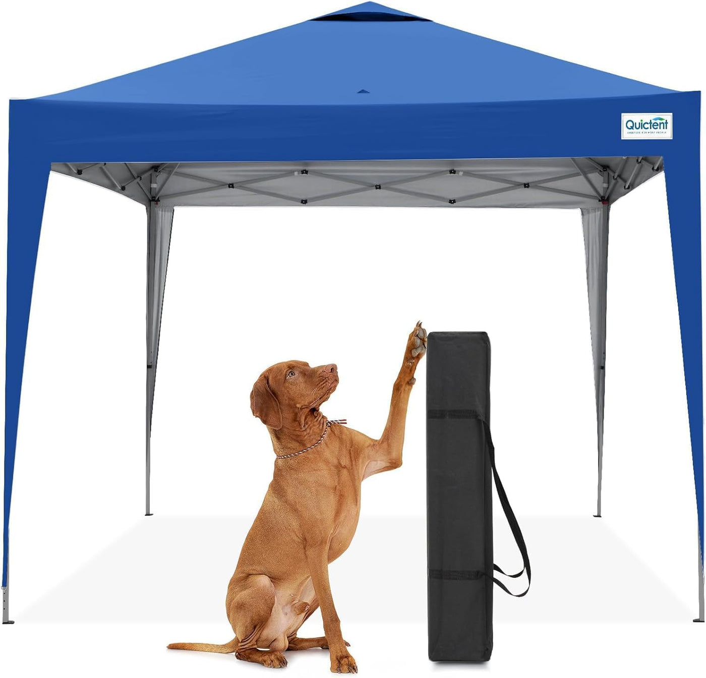 Pop Up Canopy Gazebo 3x3m Adjustable Height Event Shelter Green Quictent
