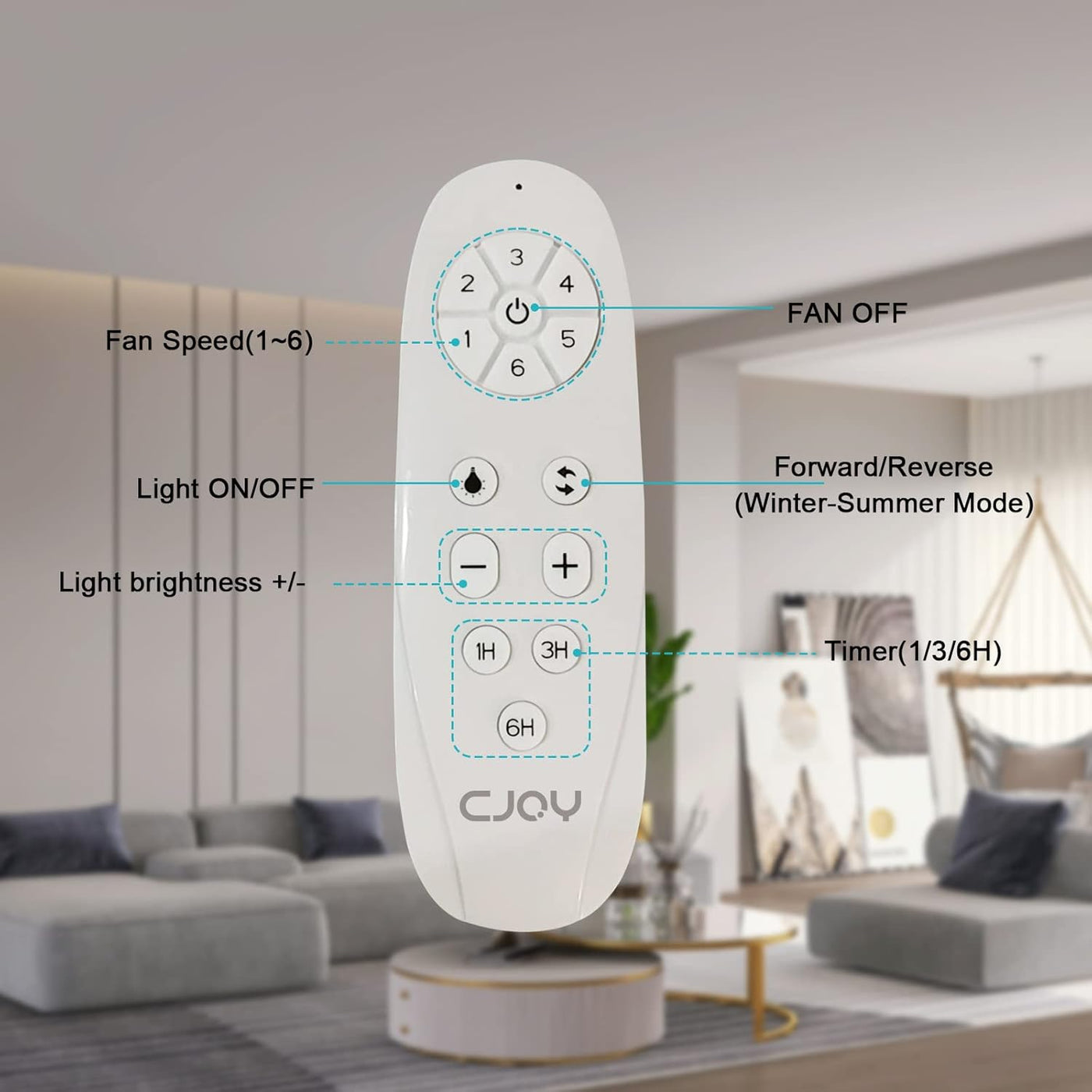 Ceiling Fan With Lights 42 Inch Remote DC Motor White CJOY
