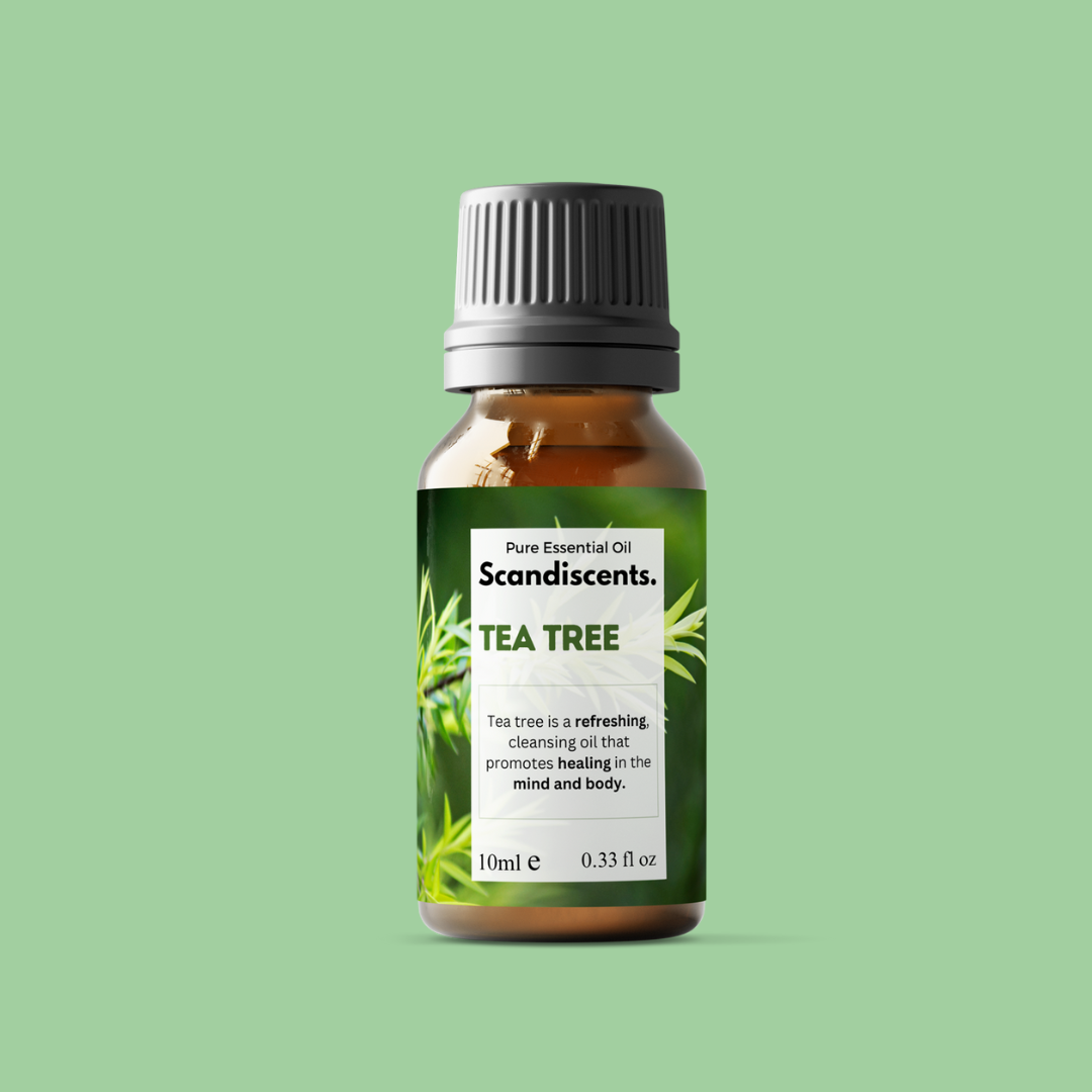 Tea tree essential oil bottle with Scandiscents branding on a green background