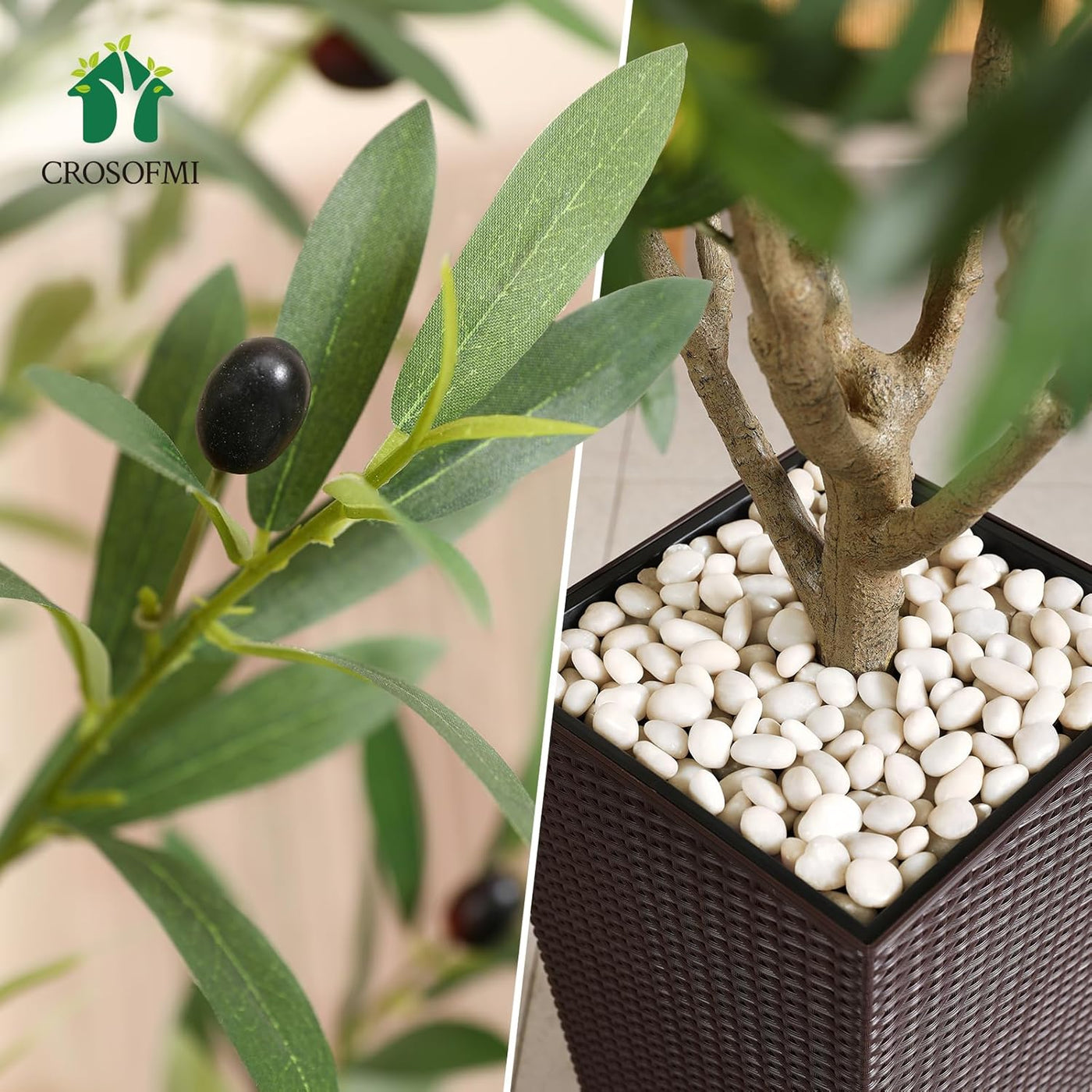 Olive branch with black olives and a potted olive plant with white pebbles.