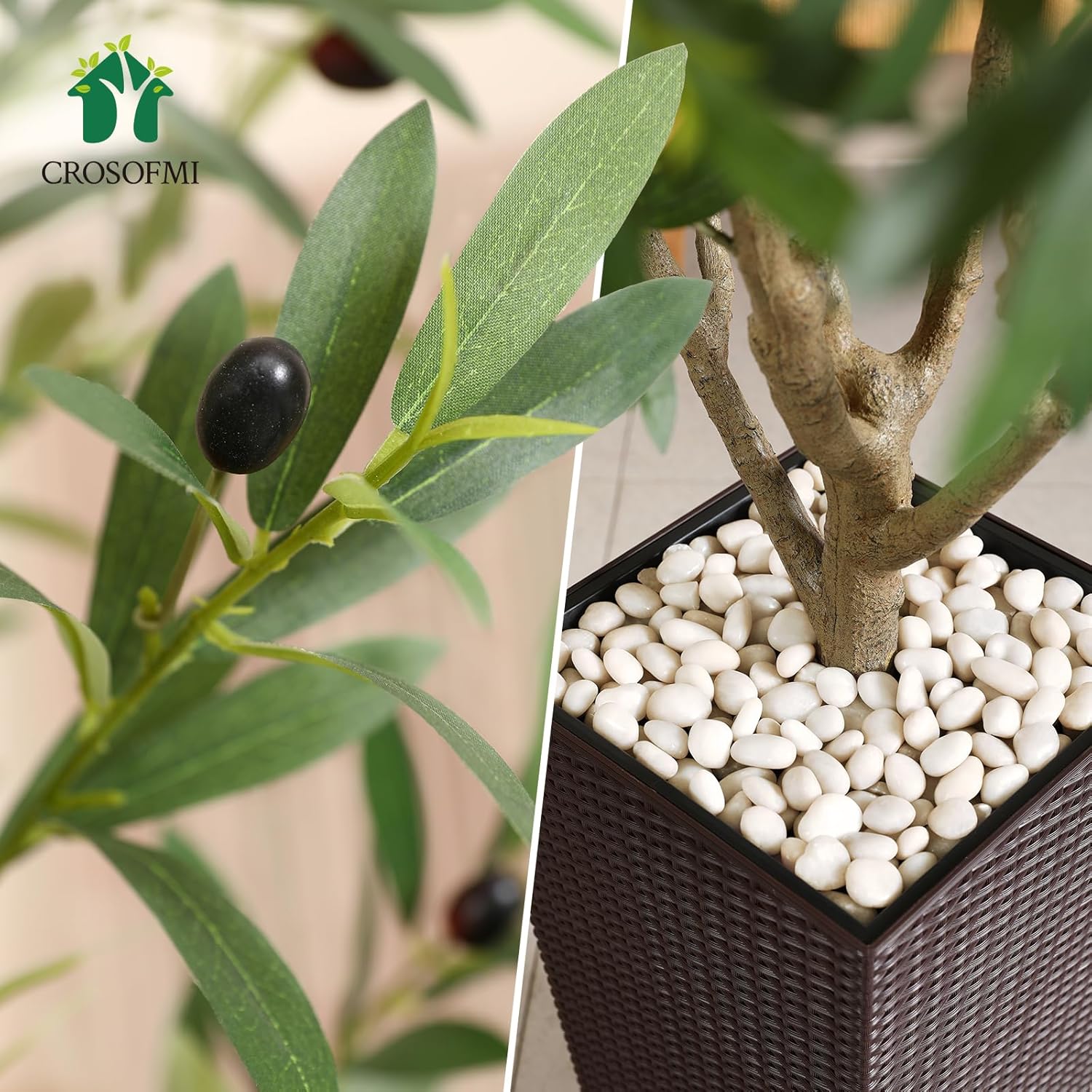 Olive branch with black olives and a potted olive plant with white pebbles.