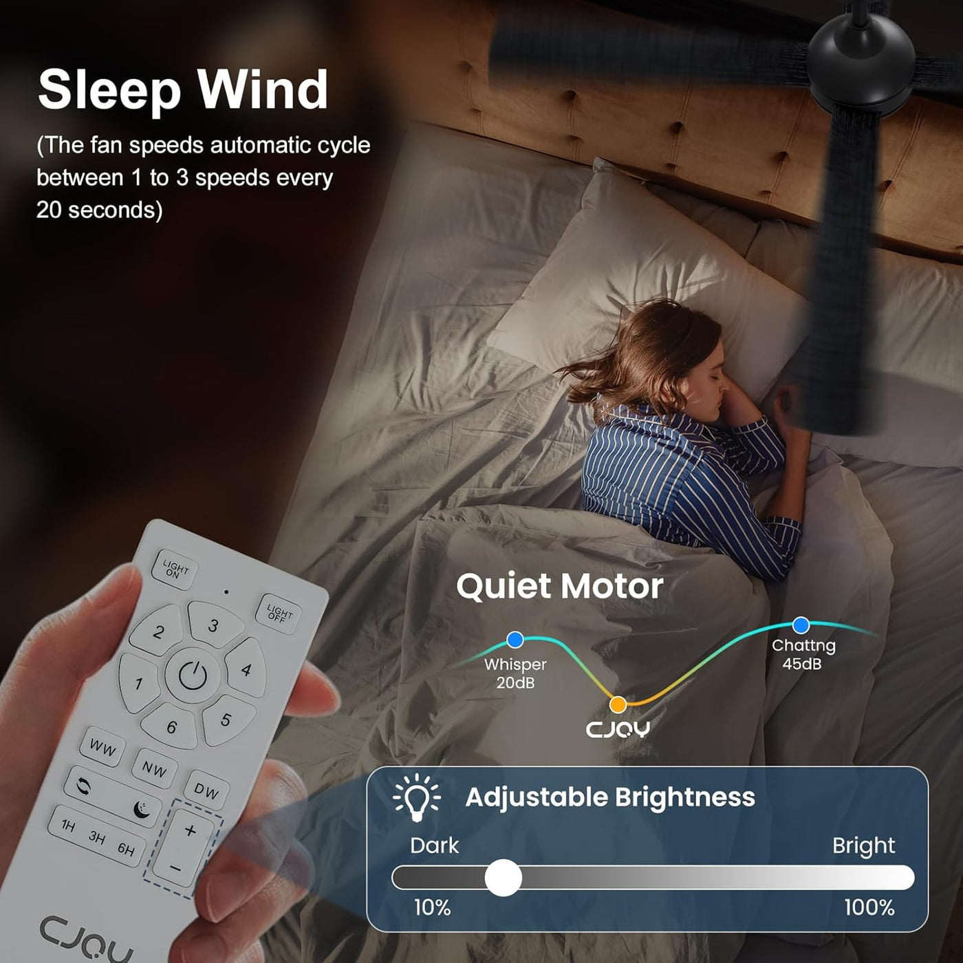 Ceiling Fan With Lights 48 Inch Remote Quiet Reversible Black CJOY