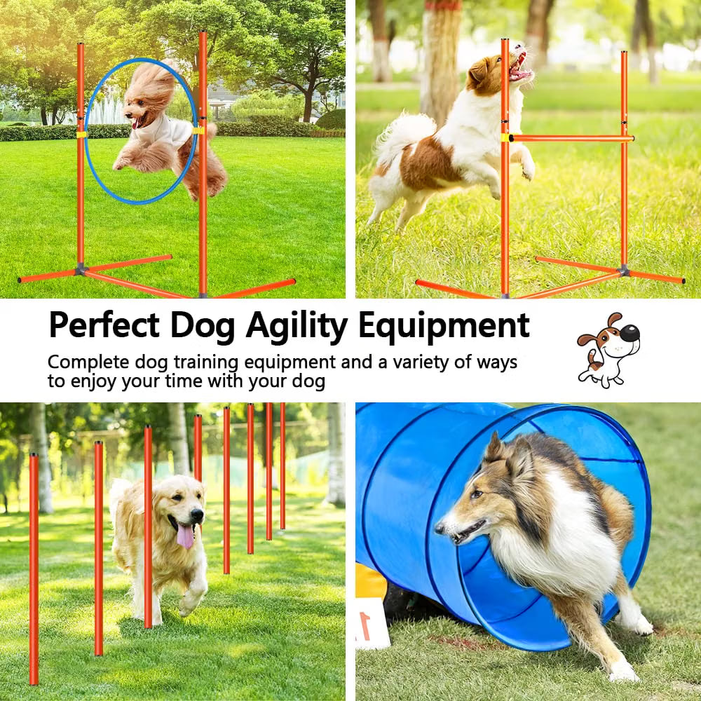 Dog Agility Training Set 6PCS Tunnel Slalom Poles Jump Rings Hurdles XXL X XBEN