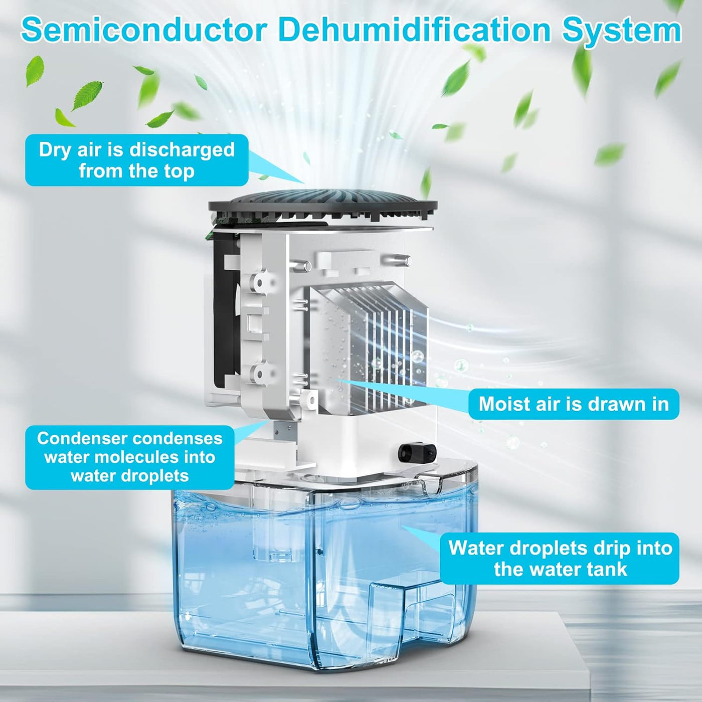 Dehumidifier 1000ml Auto Shut Off 7 Colour Night Light Home Moisture Absorber