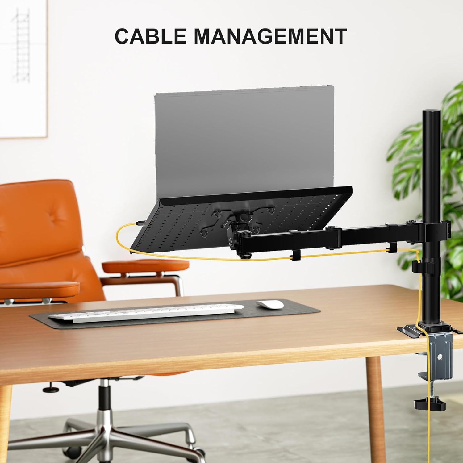 Laptop Desk Mount Adjustable Arm Tray Notebook Holder VESA Black WALI Stand