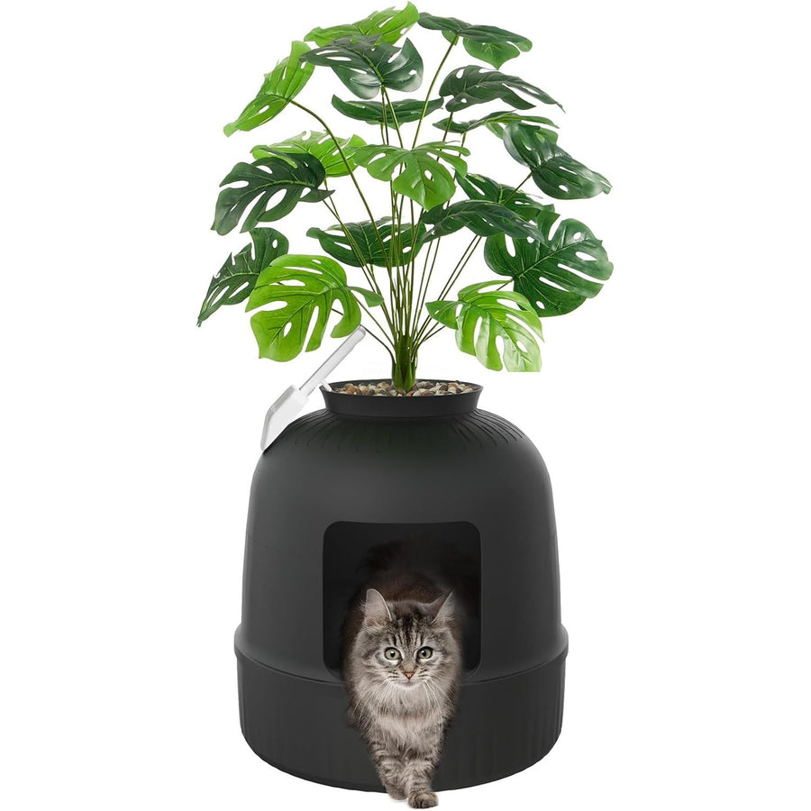 Black cat house with a plant on a white background
