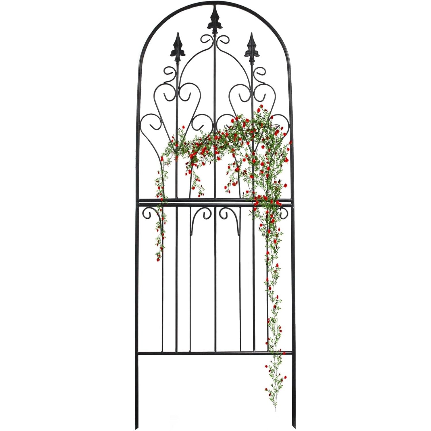 Decorative metal garden arch with floral climbing plants on a white background