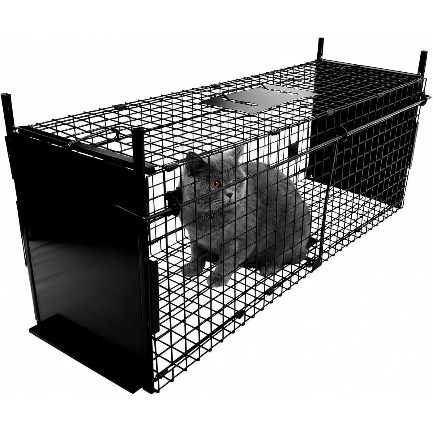 Humane Animal Cage Trap 80X33X27cm Double Door Live Catch Metal Cage Thealyn