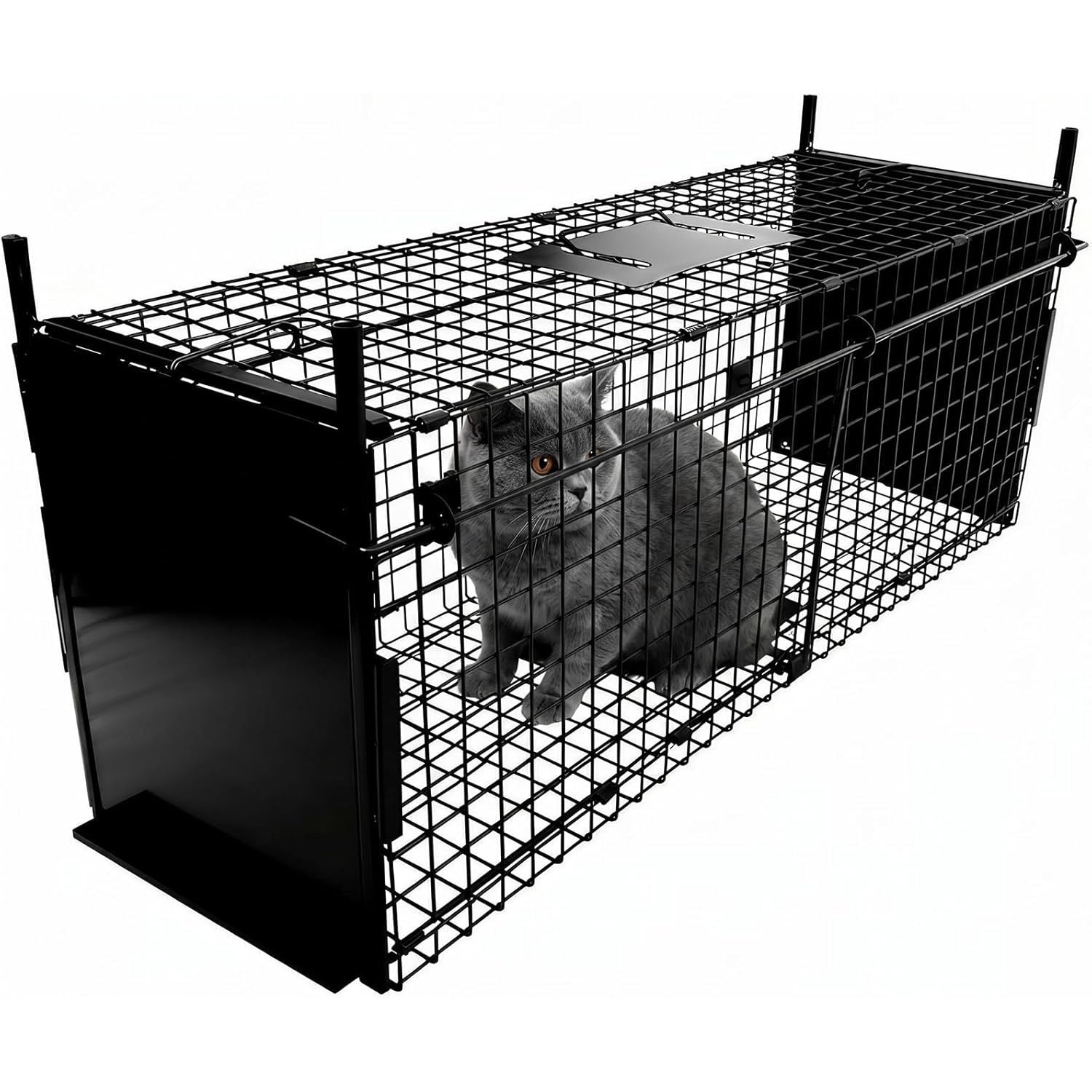 Humane Animal Cage Trap 80X33X27cm Double Door Live Catch Metal Cage Thealyn