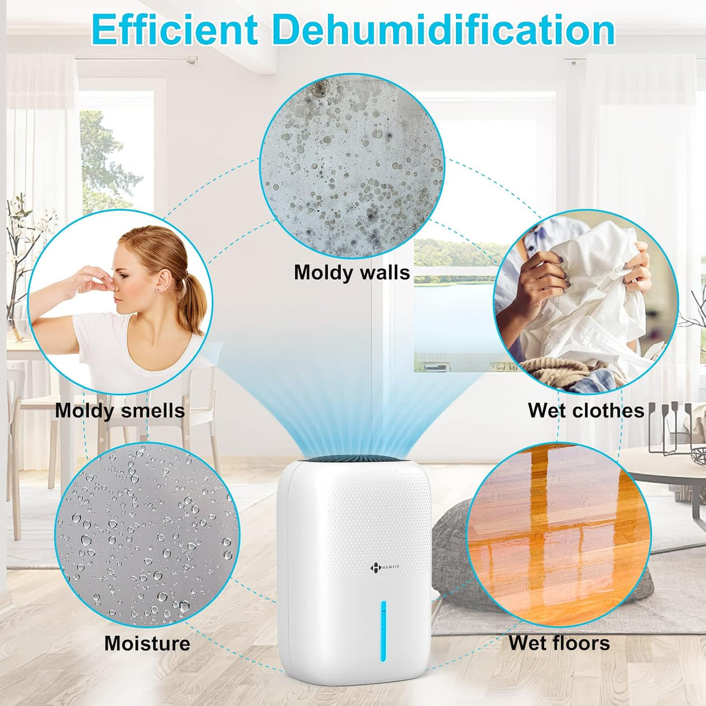 Dehumidifier 1000ml Auto Shut Off 7 Colour Night Light Home Moisture Absorber