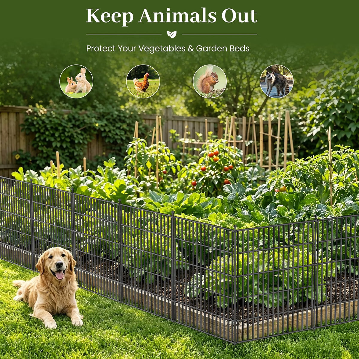 No Dig Garden Fence 81cm x 720cm 10 Panels Outdoor Metal Animal Barrier Fencing