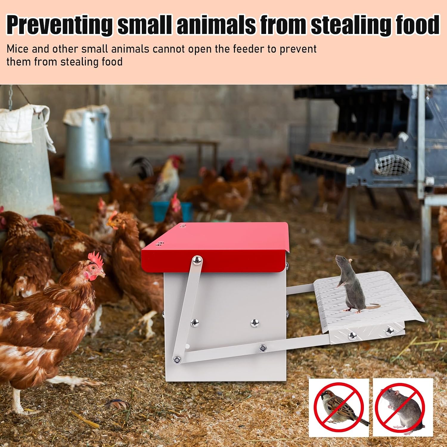 Automatic Chicken Feeder 7KG Rat Proof Treadle Galvanised Metal Poultry Outdoor