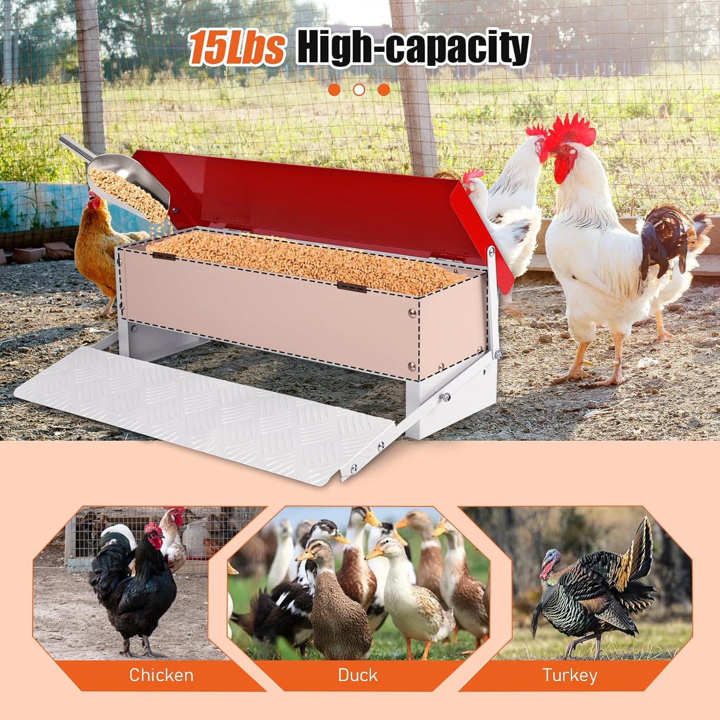 Automatic Chicken Feeder 7KG Rat Proof Treadle Galvanised Metal Poultry Outdoor