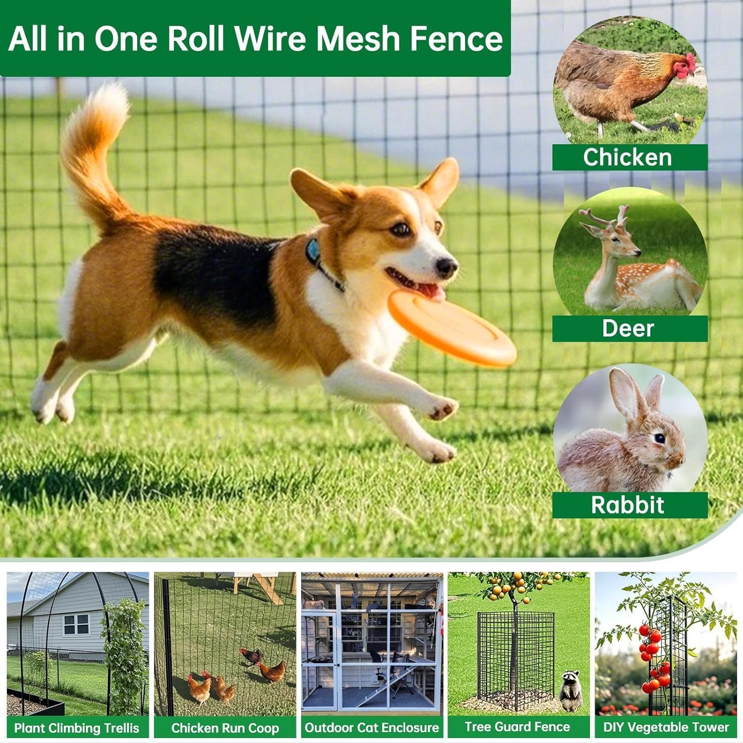 Dog playing with a frisbee in front of a wire mesh fence, with insets showing animals and additional uses of the fence.