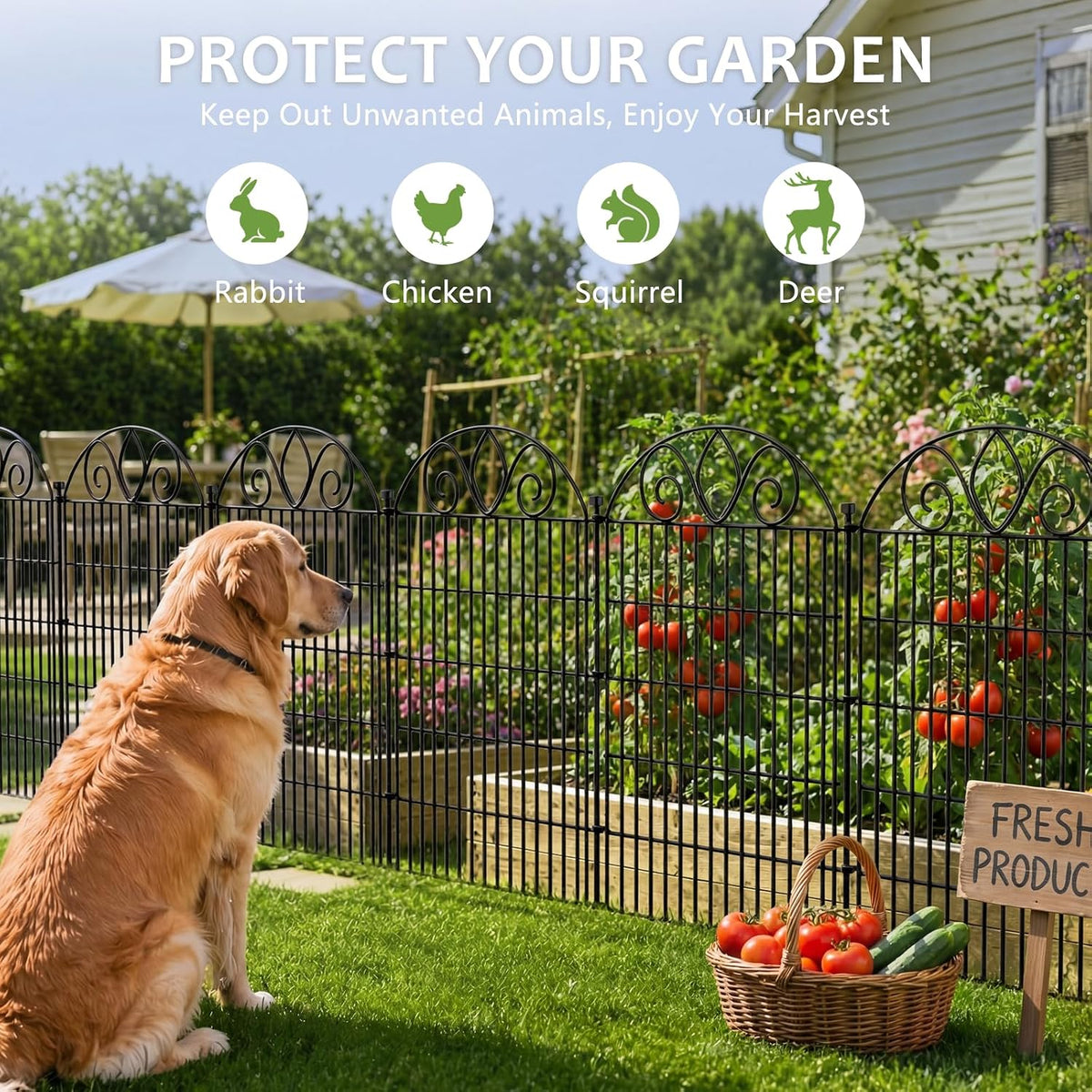 No Dig Garden Fence 112cm High 360cm Long 5 Panels Decorative Outdoor Border