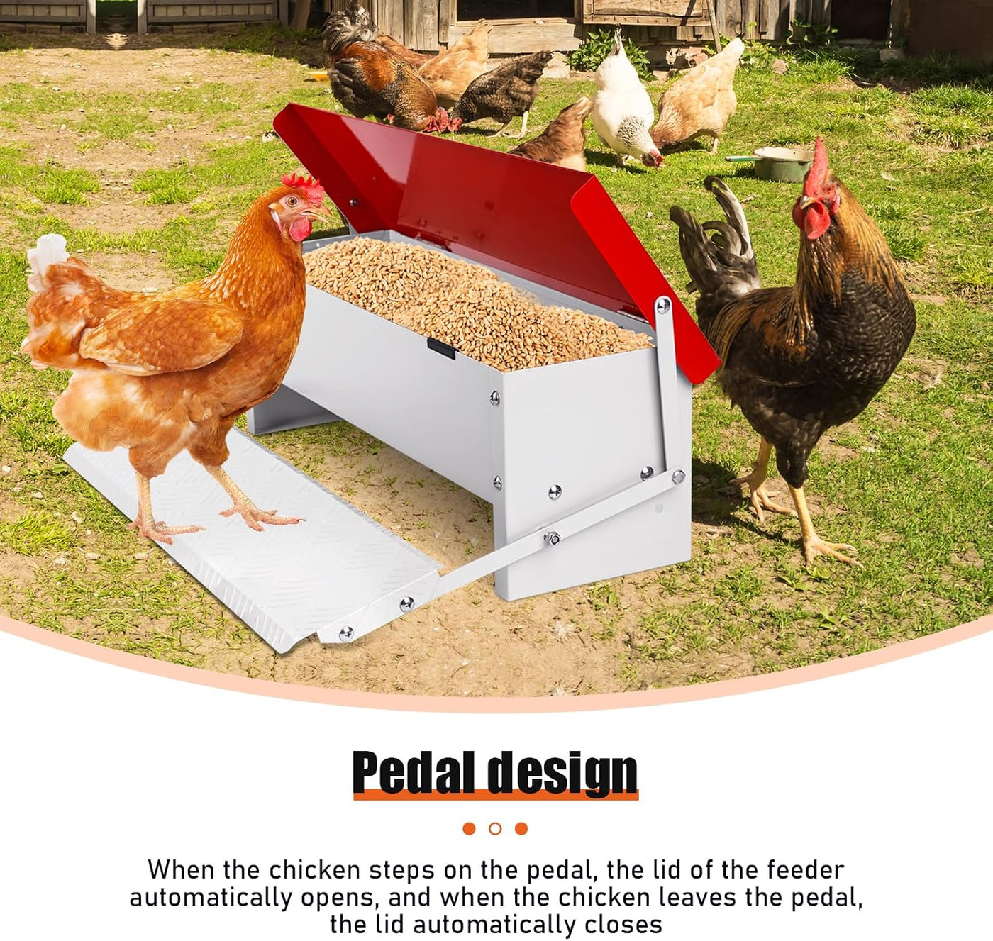 Automatic Chicken Feeder 7KG Rat Proof Treadle Galvanised Metal Poultry Outdoor