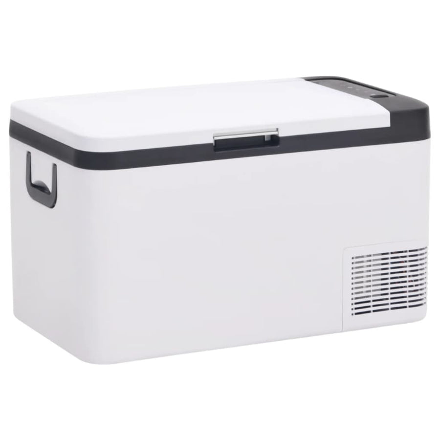 Cool Box with Handle Black and White 18 L PP & PE