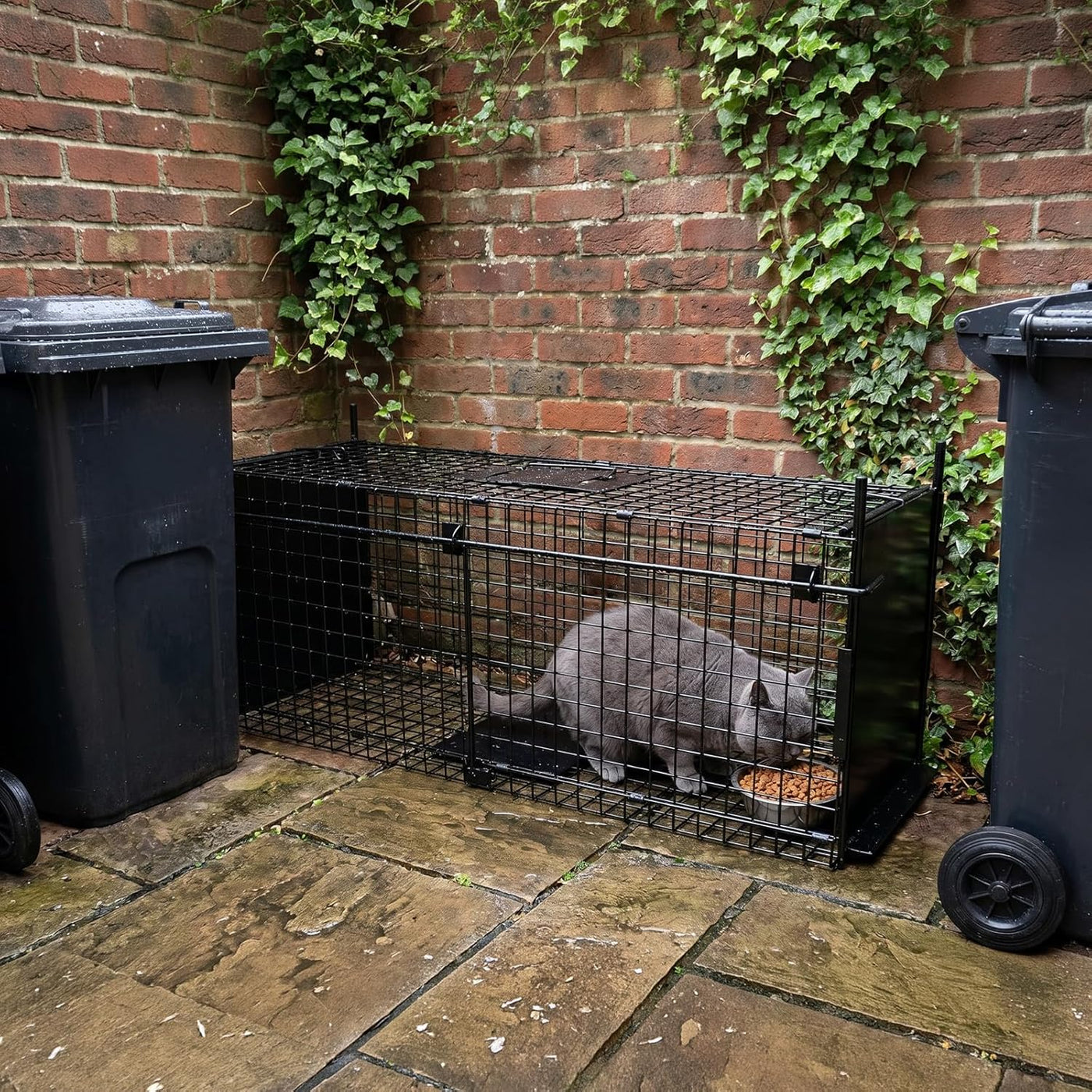 Humane Animal Cage Trap 80X33X27cm Double Door Live Catch Metal Cage Thealyn