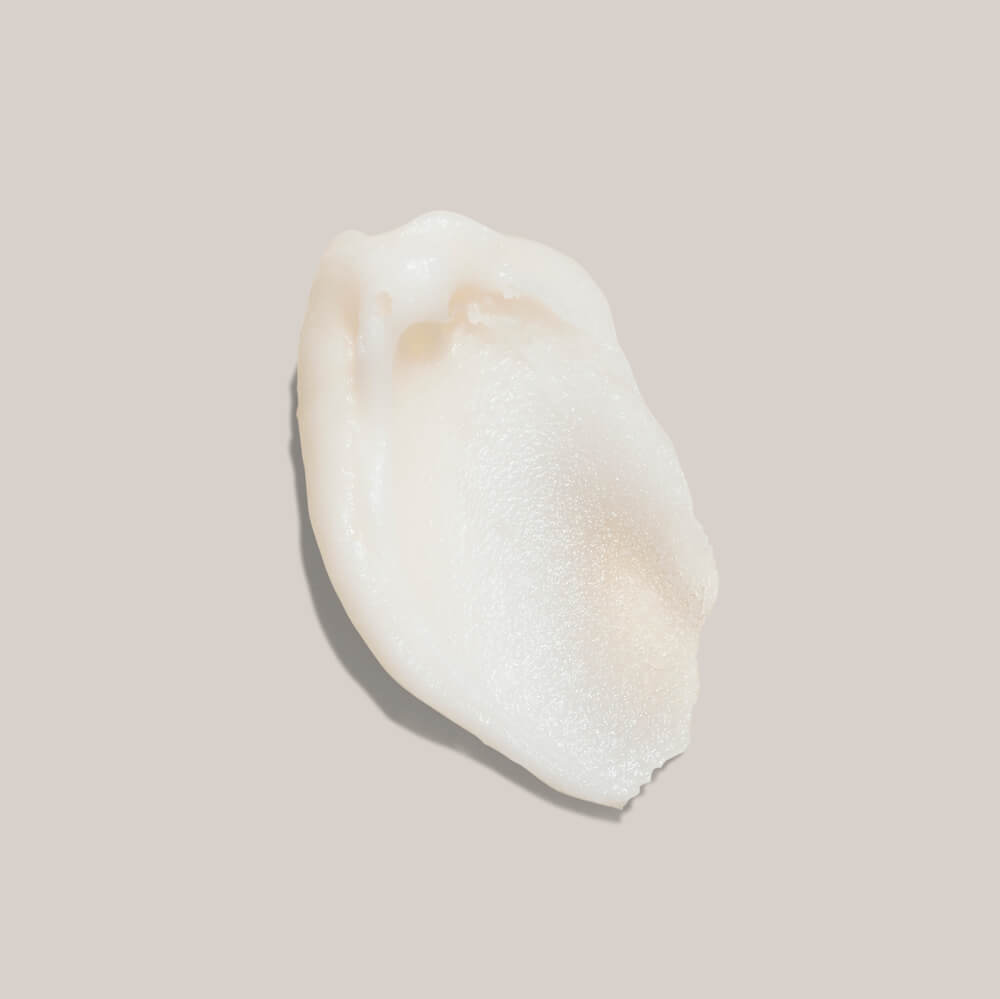 White shell on a beige background
