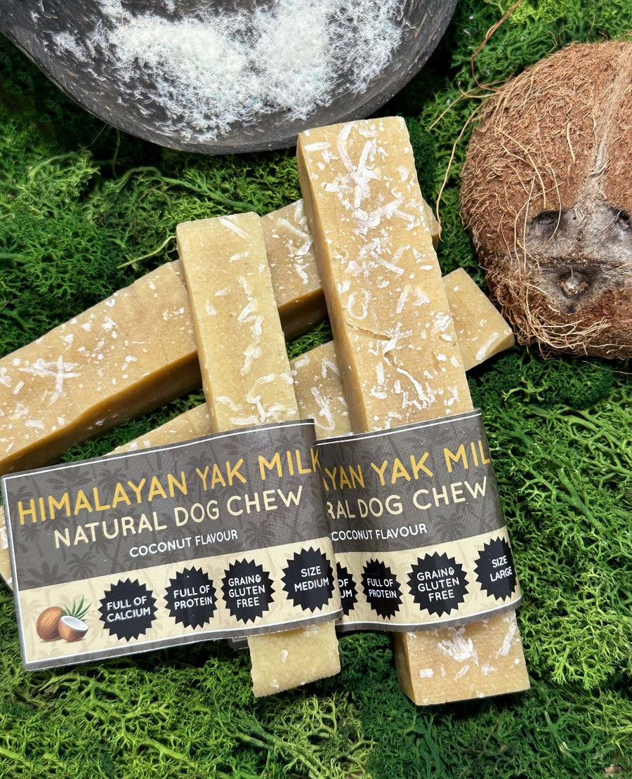 Himalayan Yak Milk Natural Dog Chew bars on a green background with a coconut.