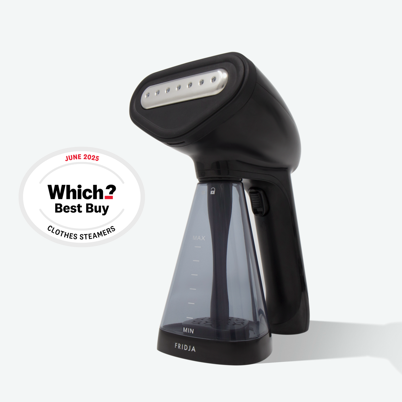Black clothes steamer with 'Which?' Best Buy badge on a white background