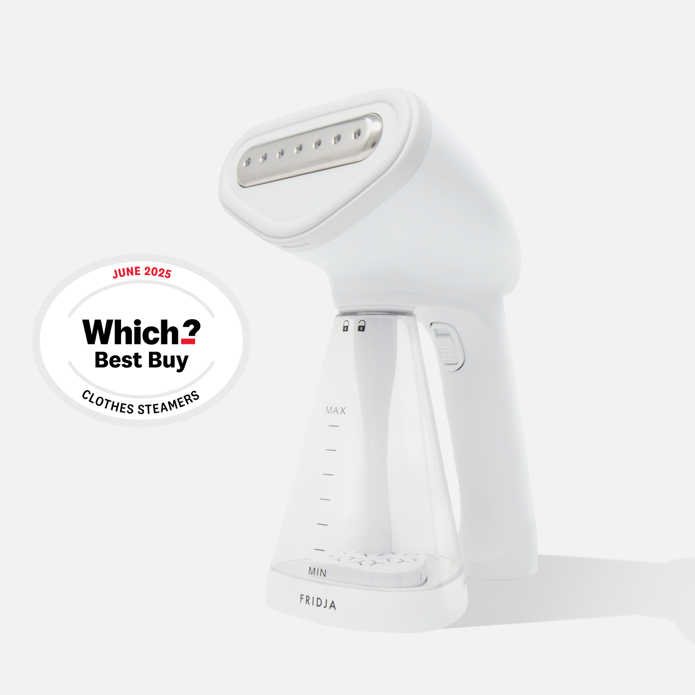 White handheld steamer with 'Which?' Best Buy label on a white background