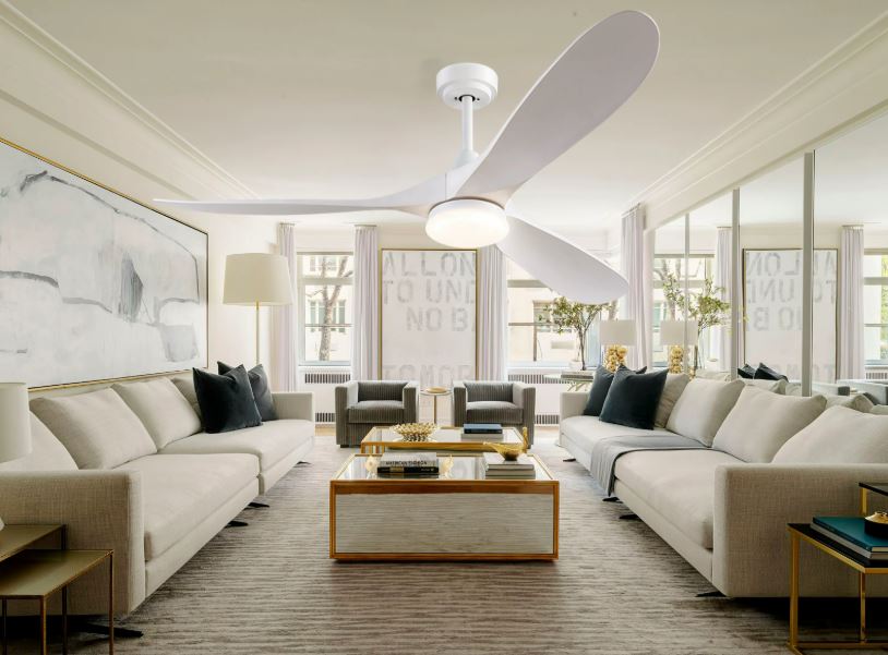 Ceiling Fan With Light 52 Inch LED Remote Dimmable ABS Blades 3000K-6500K
