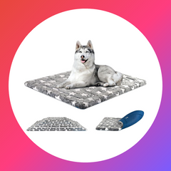 Animals & Pet Supplies